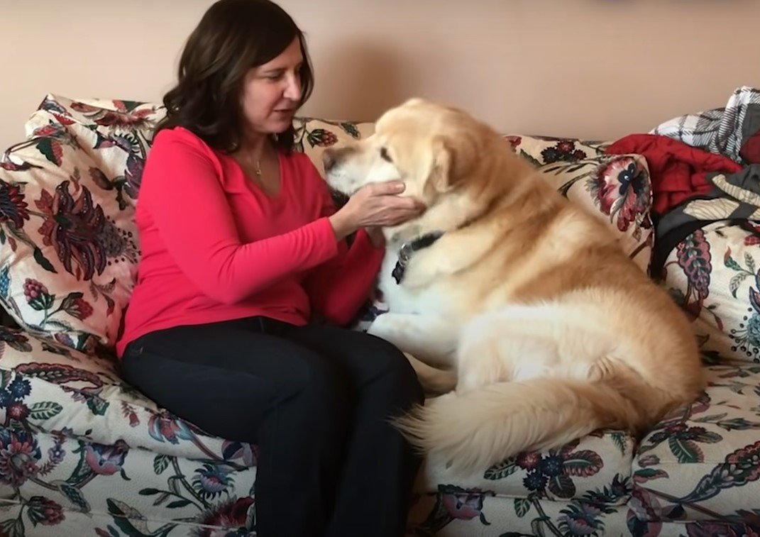 Kai mit seiner Pflegemutter Pam Heggie, die ihn schließlich adoptierte | Quelle: Youtube.com/The Dodo Kai mit seiner Pflegemutter Pam Heggie, die ihn schließlich adoptierte | Quelle: Youtube.com/The Dodo