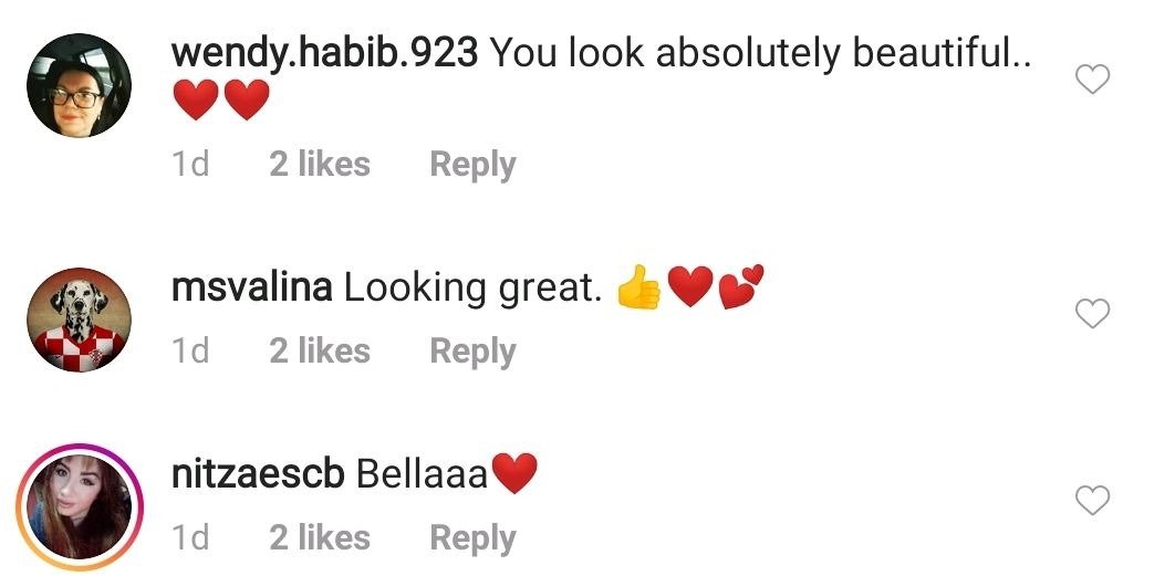 Fans comment below Rebel Wilson's September 2020 post | Photo: Instagram/ Rebel Wilson