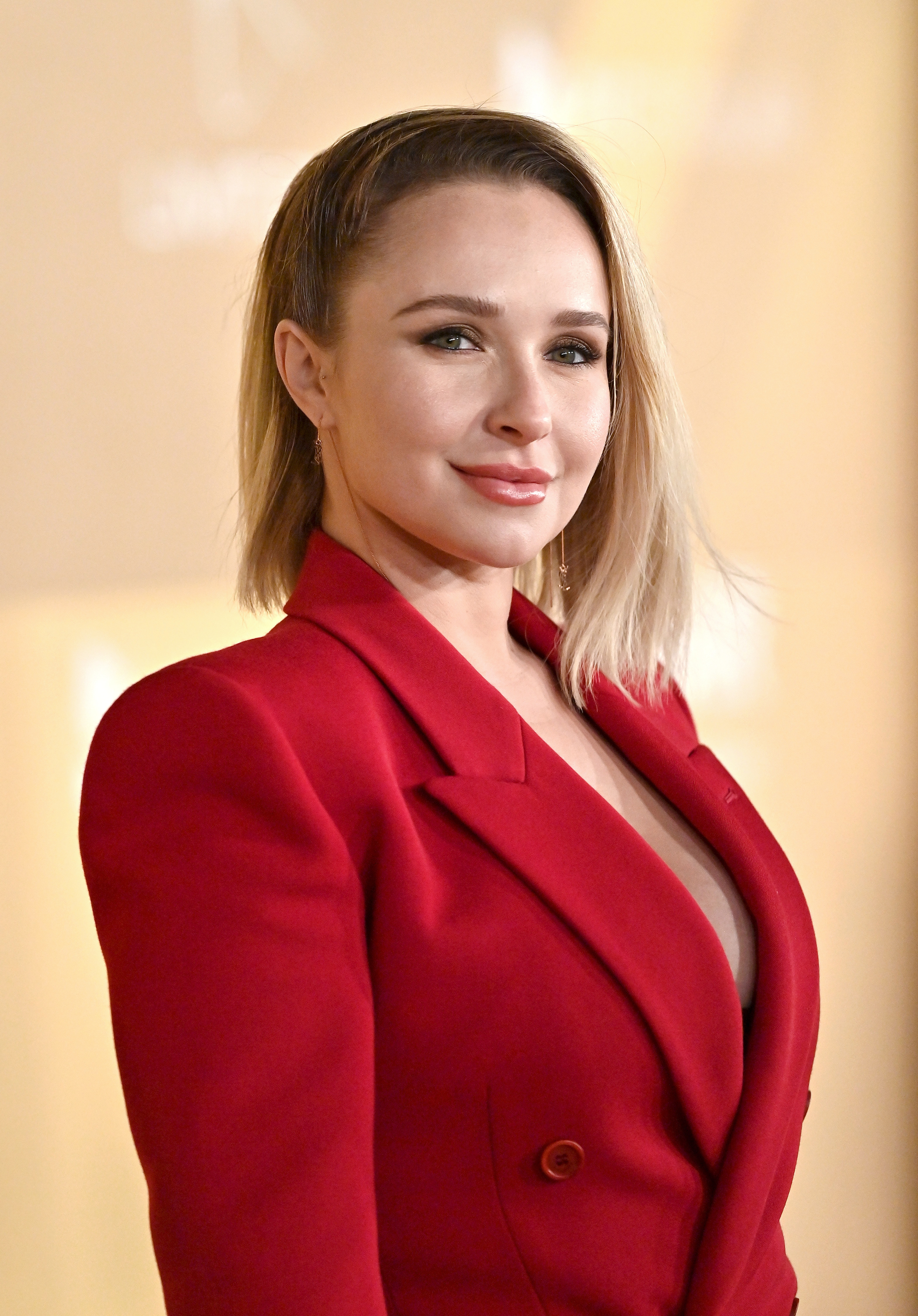 Hayden Panettiere attends the 2022 amfAR Gala Los Angeles in West Hollywood, California, on November 3, 2022 | Source: Getty Images