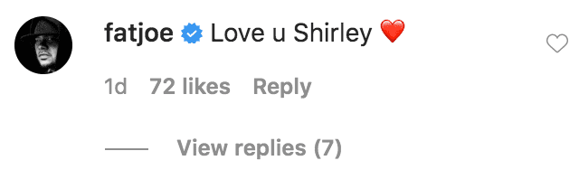 Fat Joe commented on a promotional portrait of Shirley Hemphill | Source: Instagram.com/snoopdogg