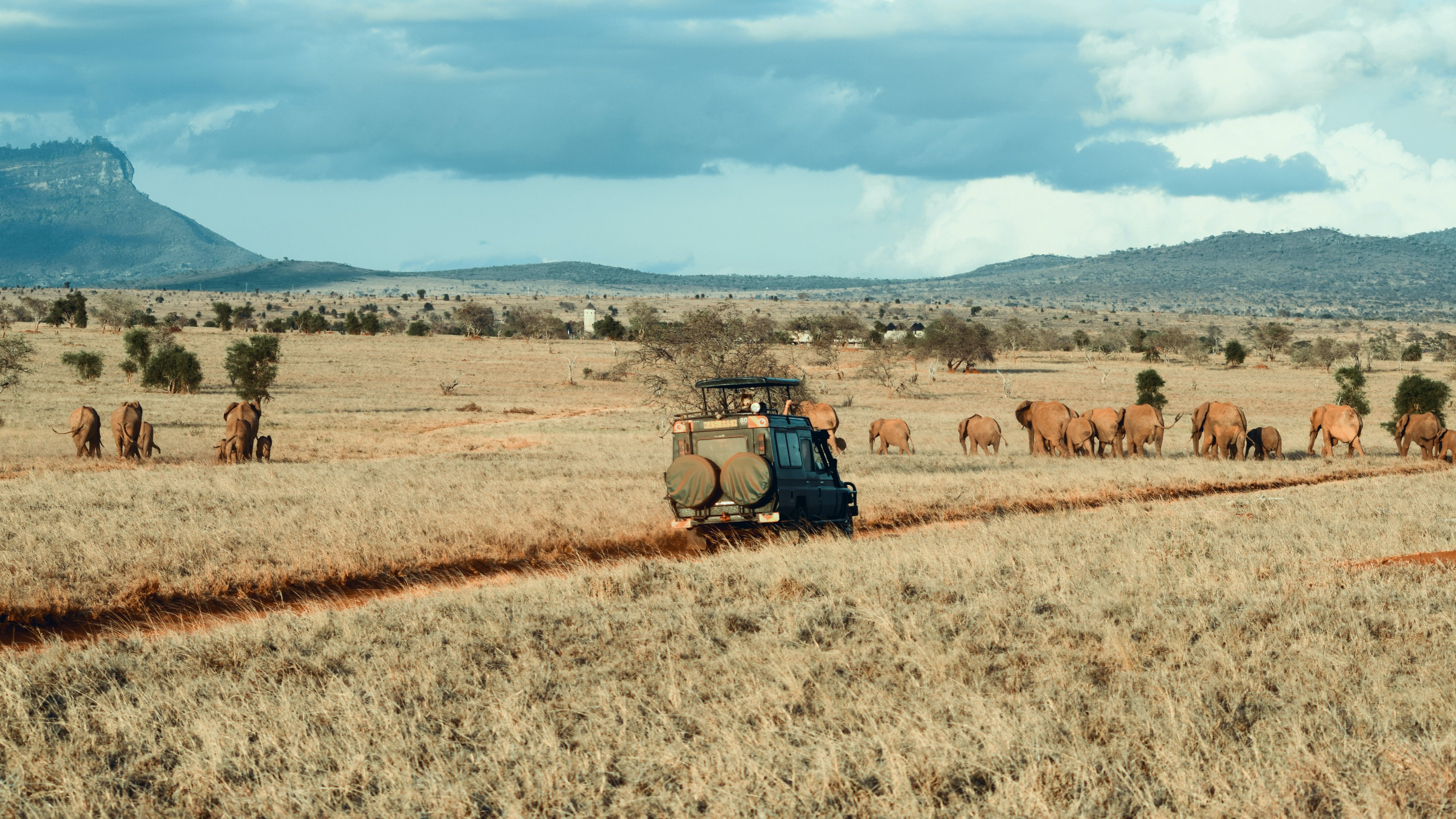Un vehículo recorre un camino de tierra de África. | Foto: Unsplash