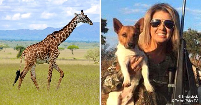 Woman who shared photos of herself with rare black giraffe she killed has no regrets