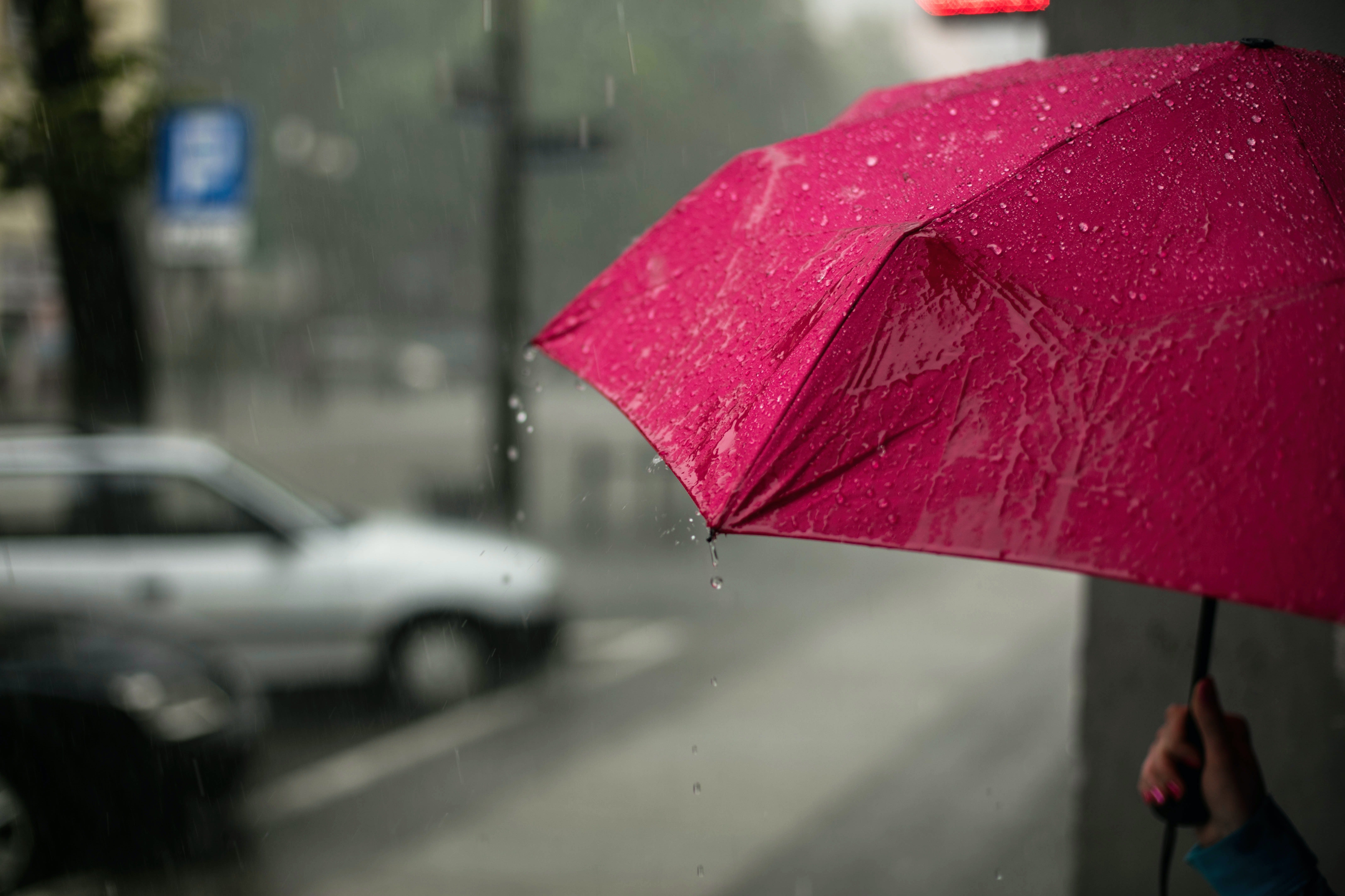 Angelina approached the man & offered him shelter to wait out the rain. | Source: Unsplash