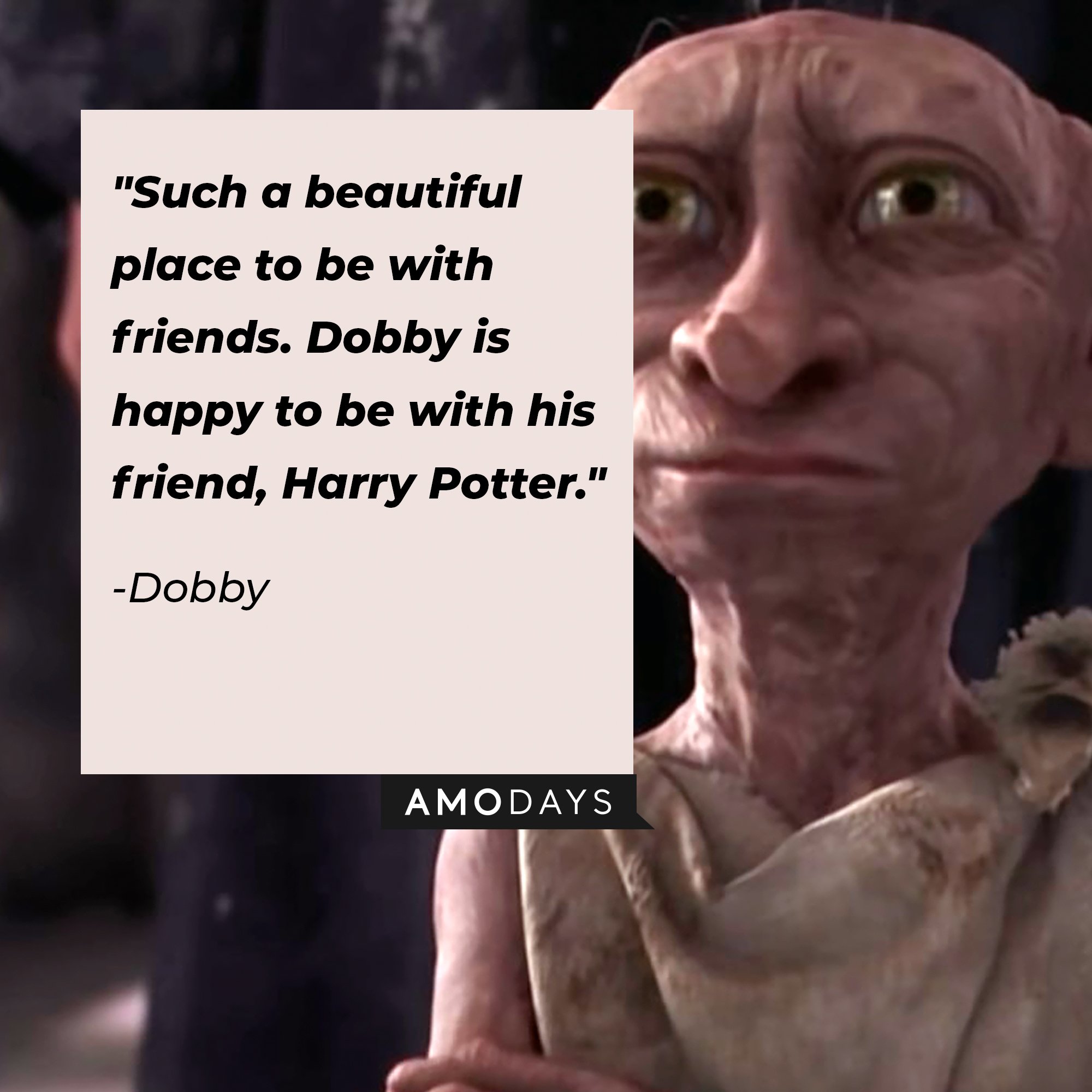 Dobby’s quote: "Such a beautiful place to be with friends. Dobby is happy to be with his friend, Harry Potter." | Image: AmoDays