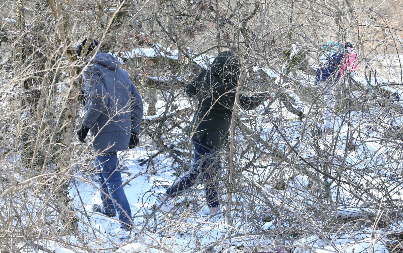 Des personnes qui font des recherches entre les arbres | Photo : Getty Images