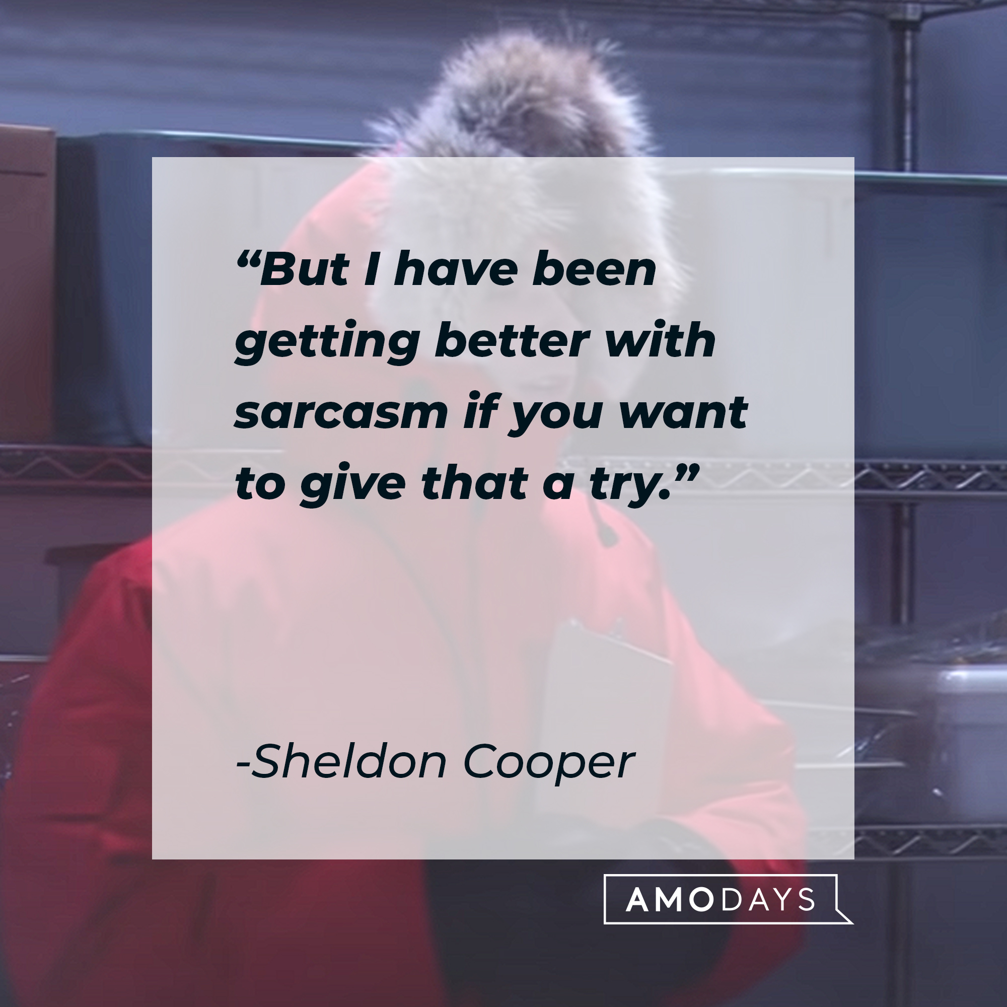 Sheldon Cooper's quote: "But I have been getting better with sarcasm if you want to give that a try." | Source: youtube.com/warnerbrostv
