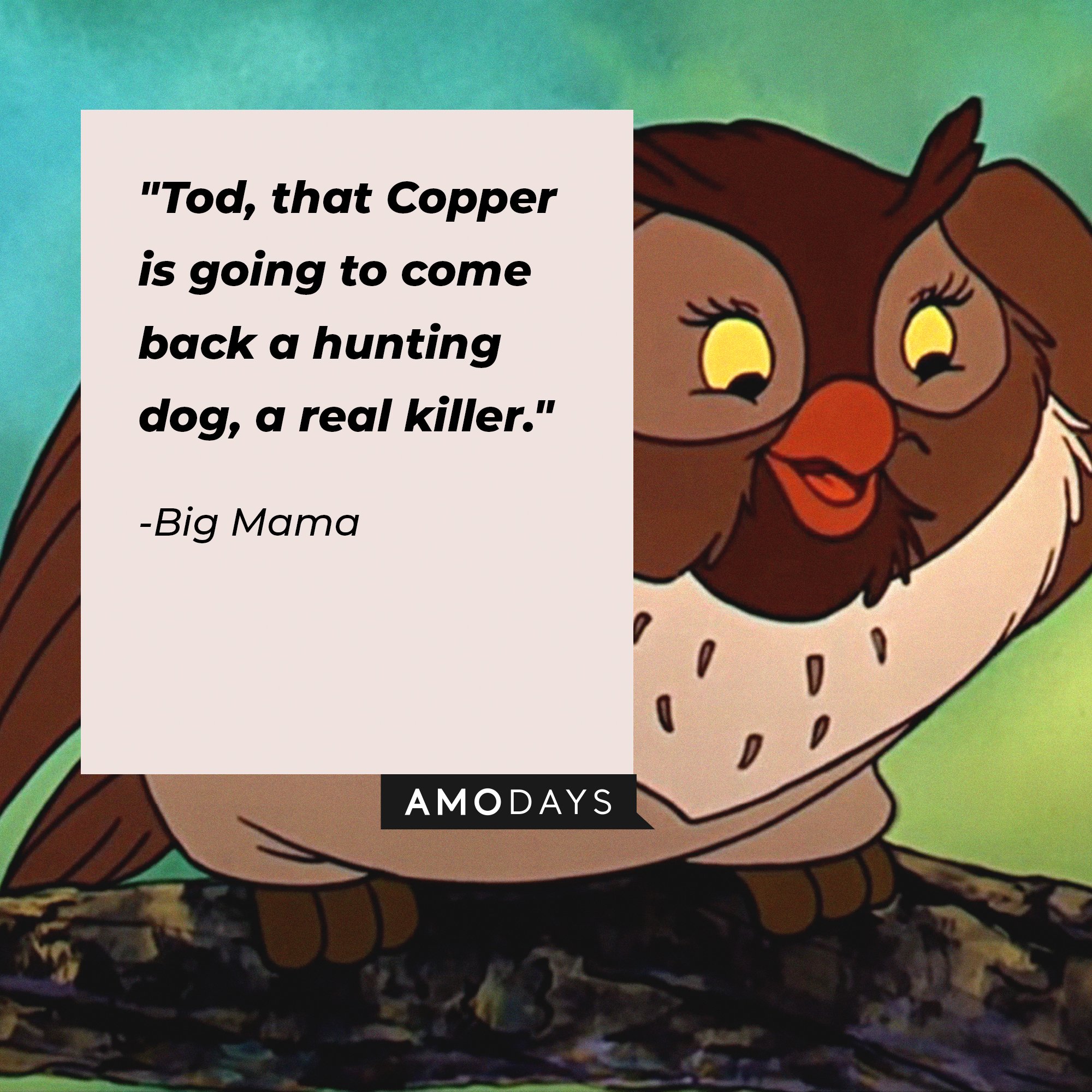Big Mama’s quote: "Tod, that Copper is going to come back a hunting dog, a real killer." | Image: AmoDays