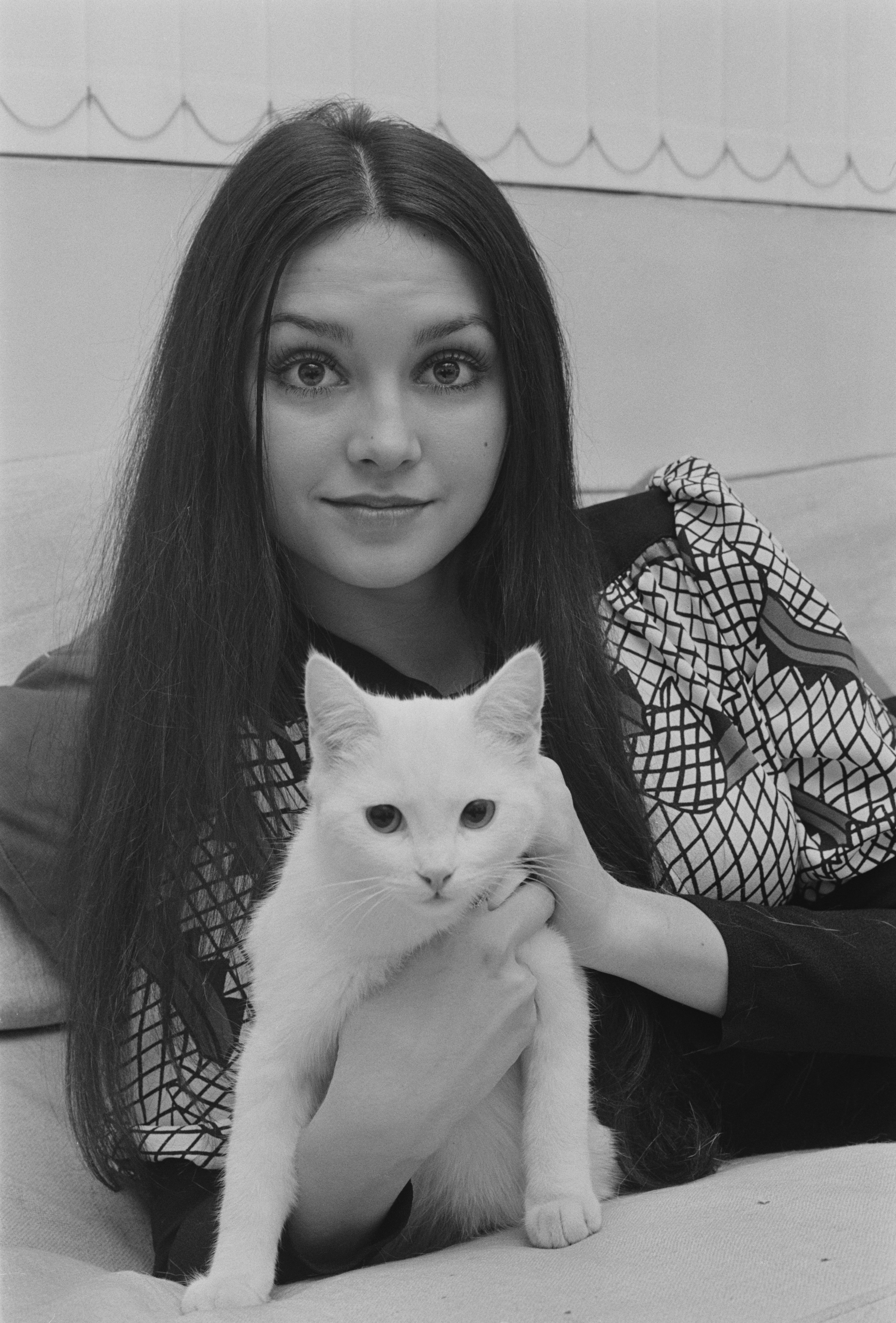 American actress Victoria Principal pictured holding a white cat during a visit to London on 3rd December 1970. | Source: Getty Images