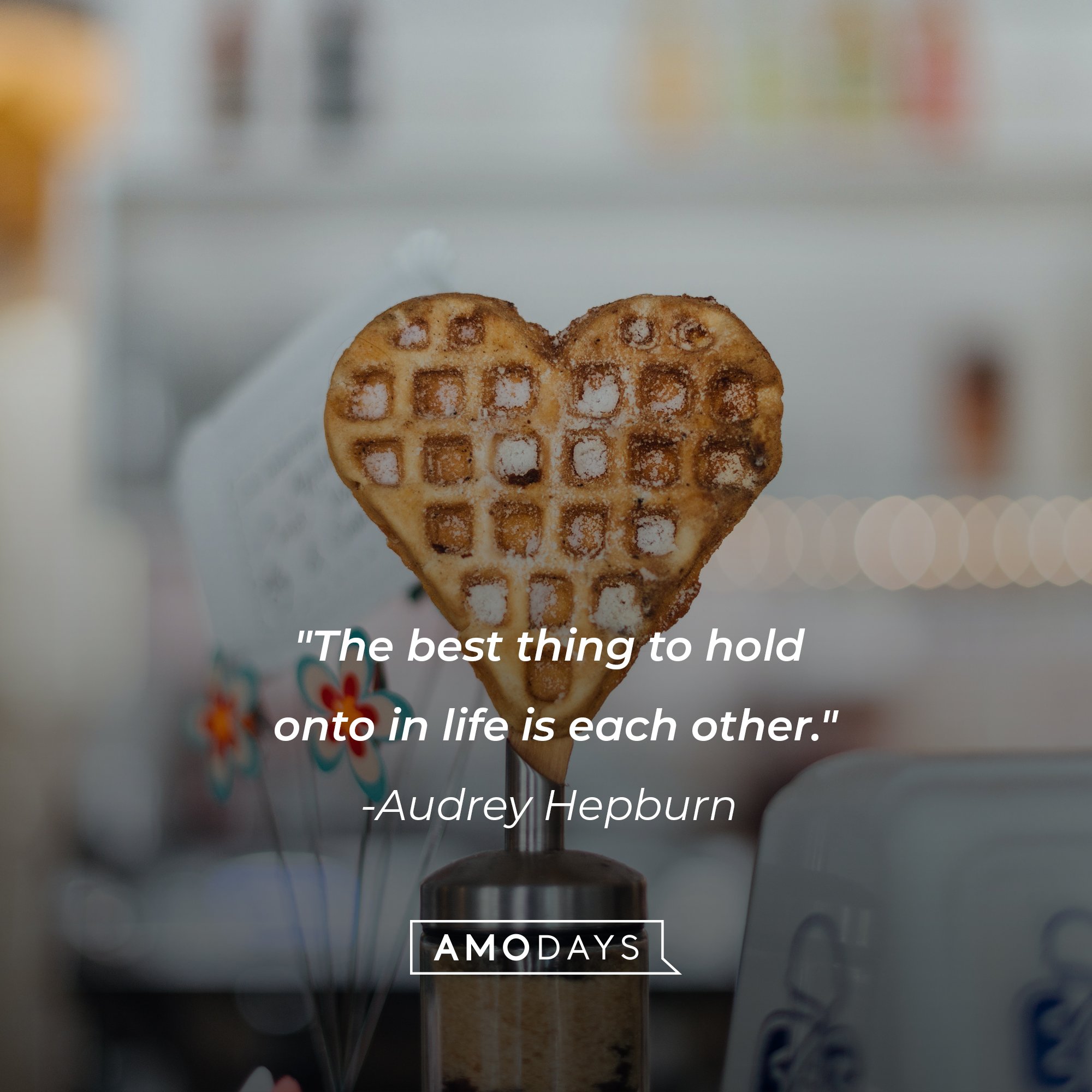 Audrey Hepburn’s quote: "The best thing to hold onto in life is each other." | Image: AmoDays