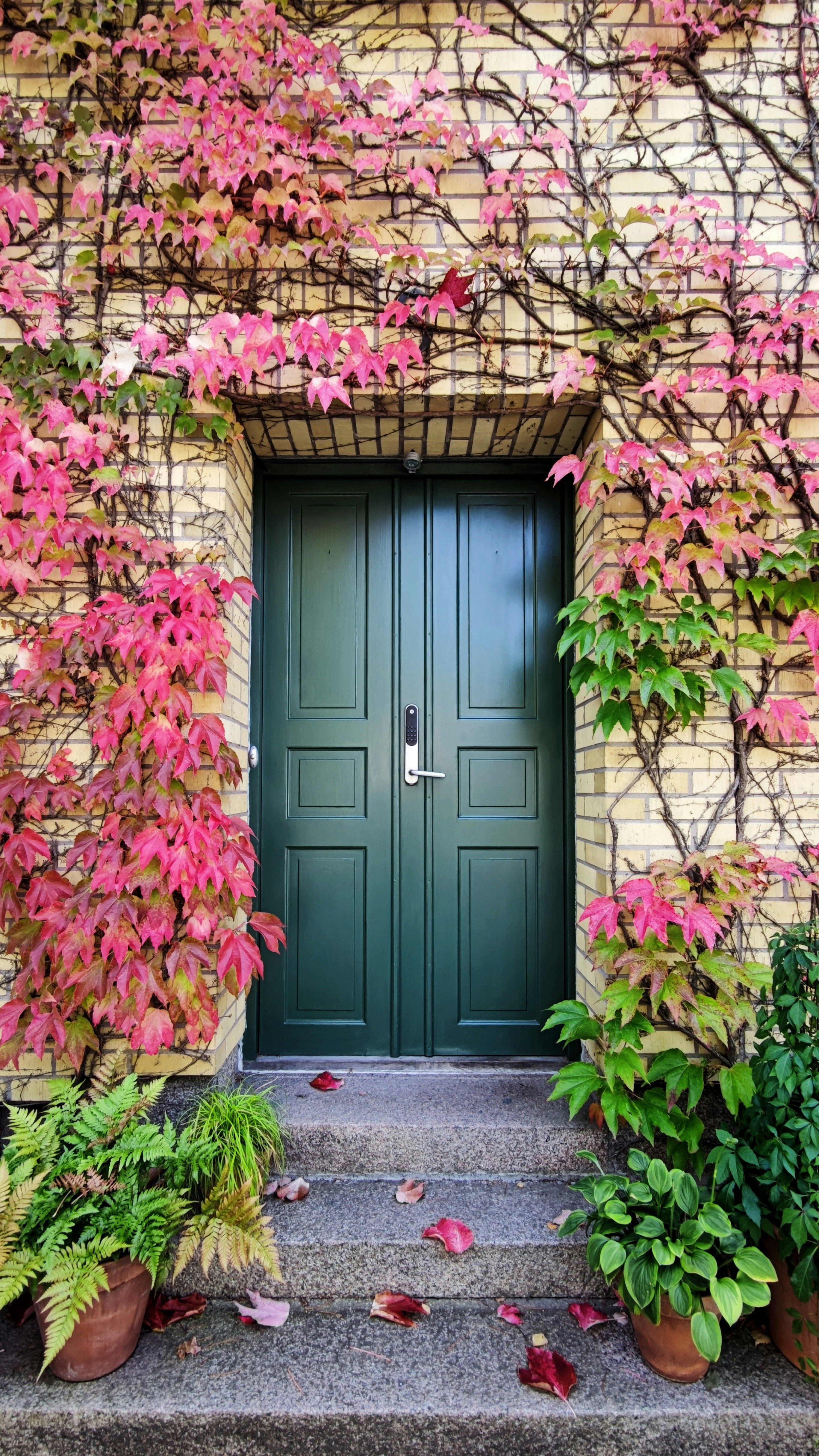 Front door of a house | Source: Pexels