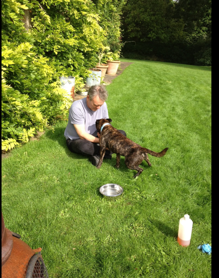 Anthony Head shares a quiet moment with a rescue dog, reflecting the actor's support for the animal welfare work that was central to Sarah Fisher's life and career. | Source: Facebook/Alvin Team-Alvin