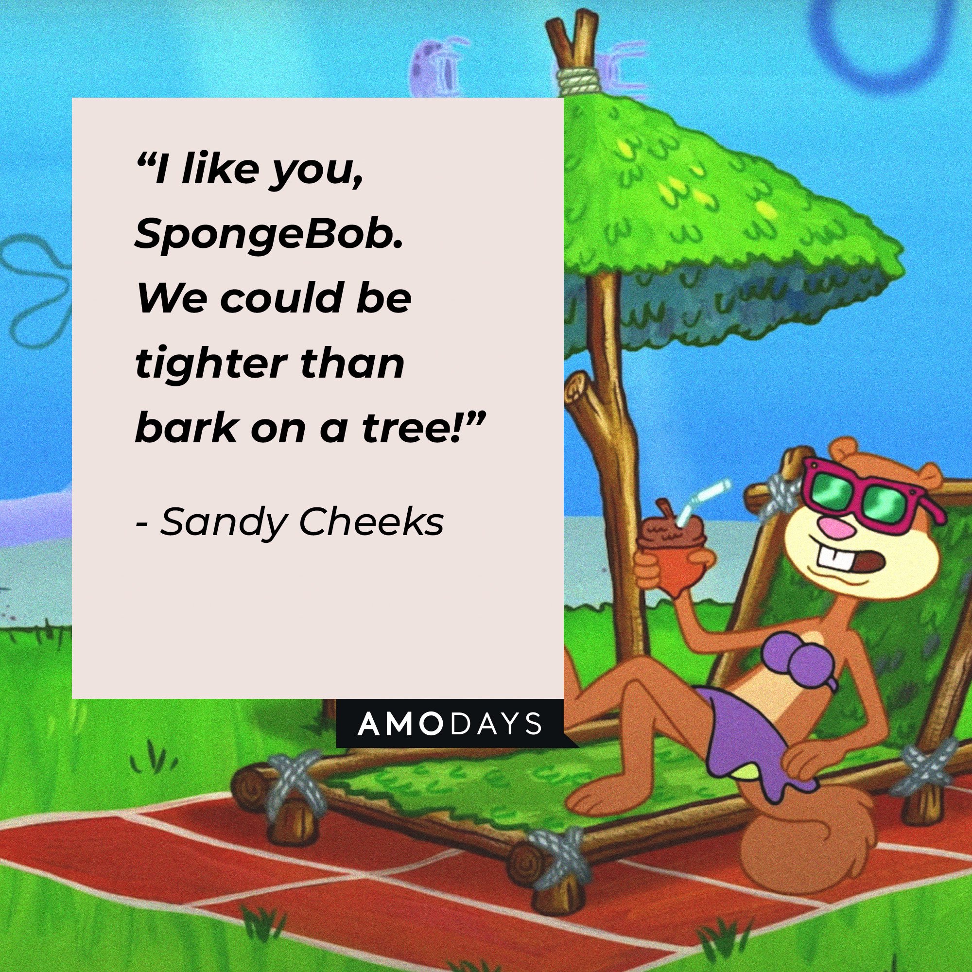 Sandy Cheeks's quote: “I like you, SpongeBob. We could be tighter than bark on a tree!” | Image: AmoDays 