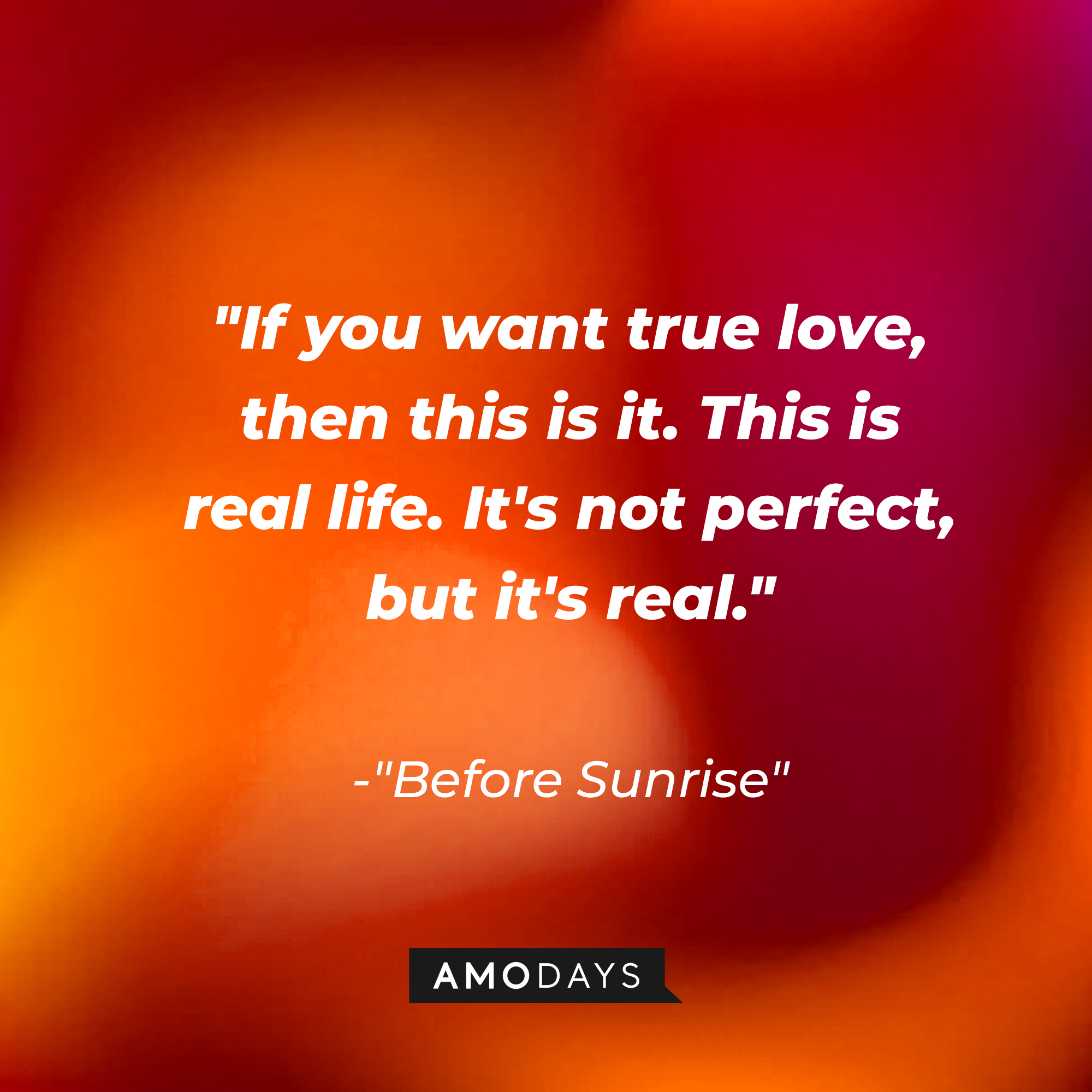 "Before Sunrise" quote: "If you want true love, then this is it. This is real life. It's not perfect, but it's real." | Source: AmoDays