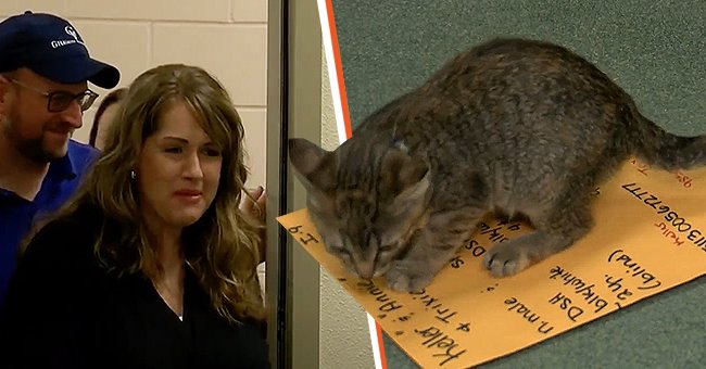 A picture of Ohio mom Amy Nestor and her newly adopted cat | Photo: youtube.com/KCAU-TV Sioux City 