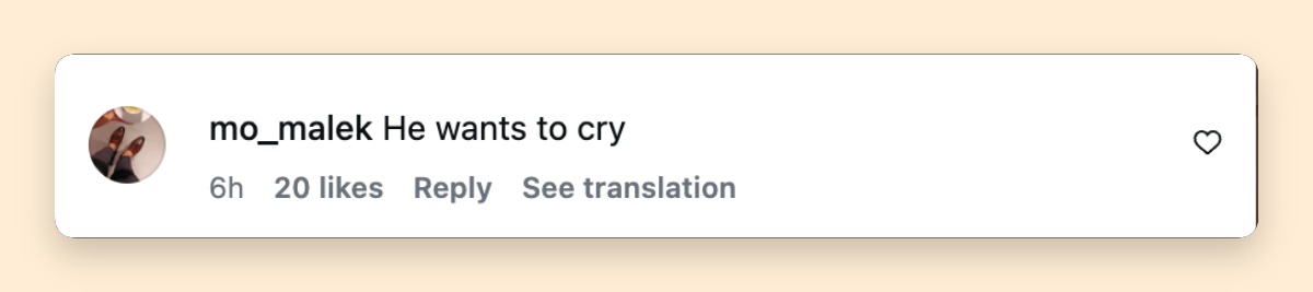 Netizen comment about Timothée Chalamet, posted on March 15, 2026. | Source: Instagram/enews
