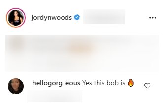 A fan's comment under Jordyn Woods' post. | Photo: Instagram/jordynwoods