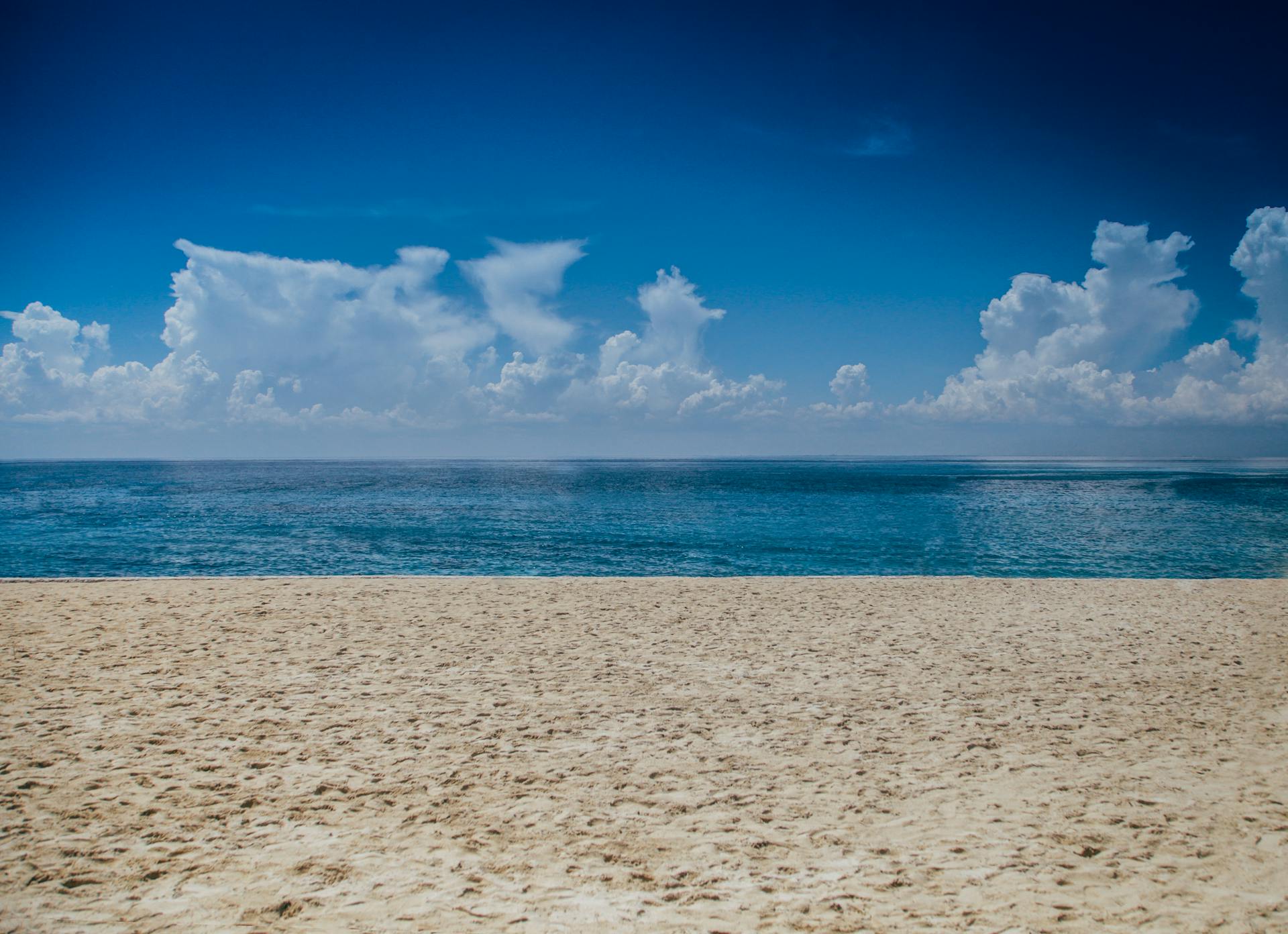 Image of a beach during the day | Source: Pexels
