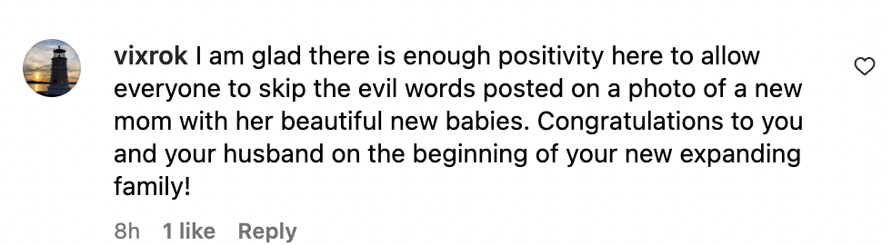 A positive comment congratulating Hilary Swank on the photo showcasing her twins posted on April 10 2023 | Source: instagram.com/@hilaryswank