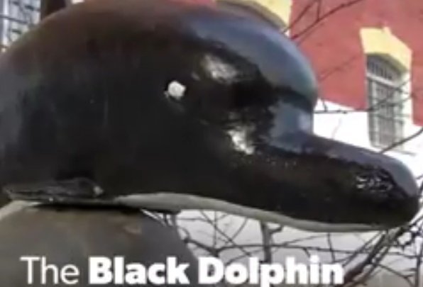 Source: Youtube/Viral Videos