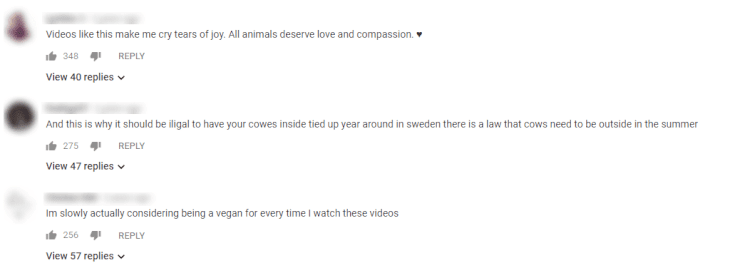 Quelle: YouTube/Gut Aiderbichl