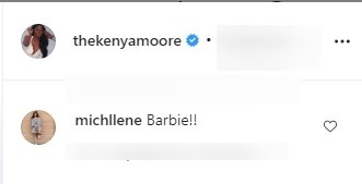 A screenshot of fans' comments from Kenya Moore's post. | Photo: instagram.com/thekenyamoore