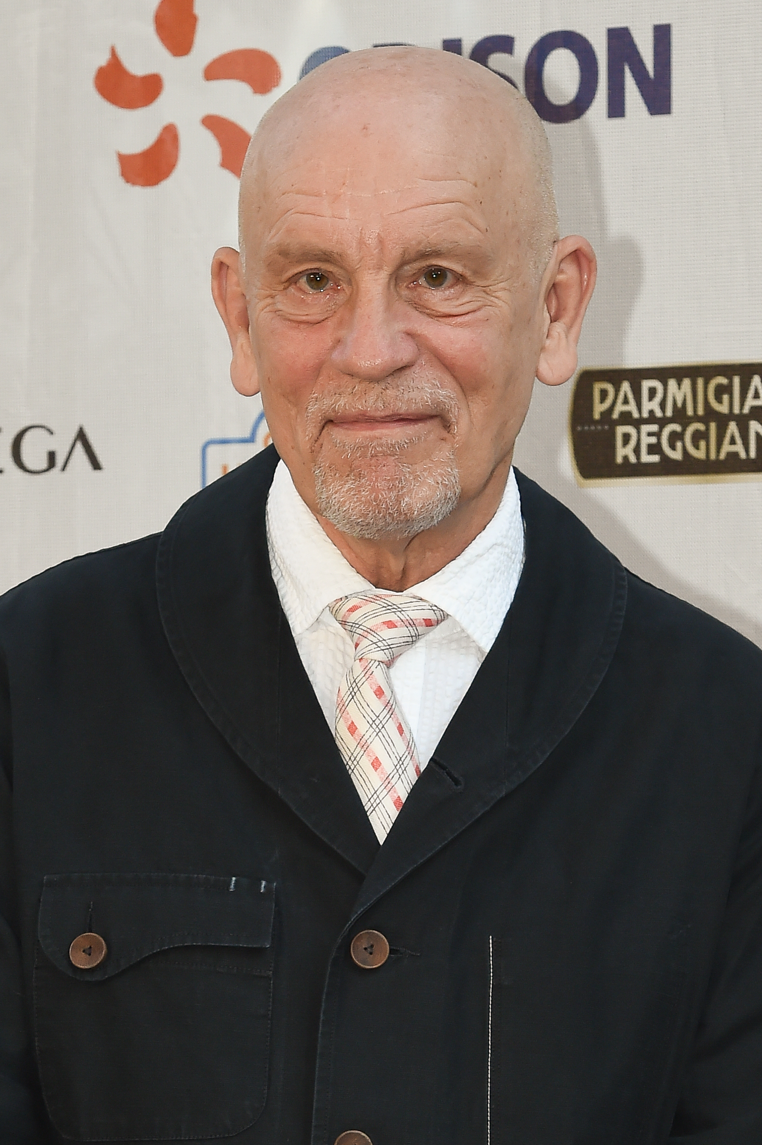 John Malkovich poses during the "Globo D'Oro" 2023 Awards at the German Academy at Villa Massimo on July 4, 2023, in Rome, Italy | Source: Getty Images