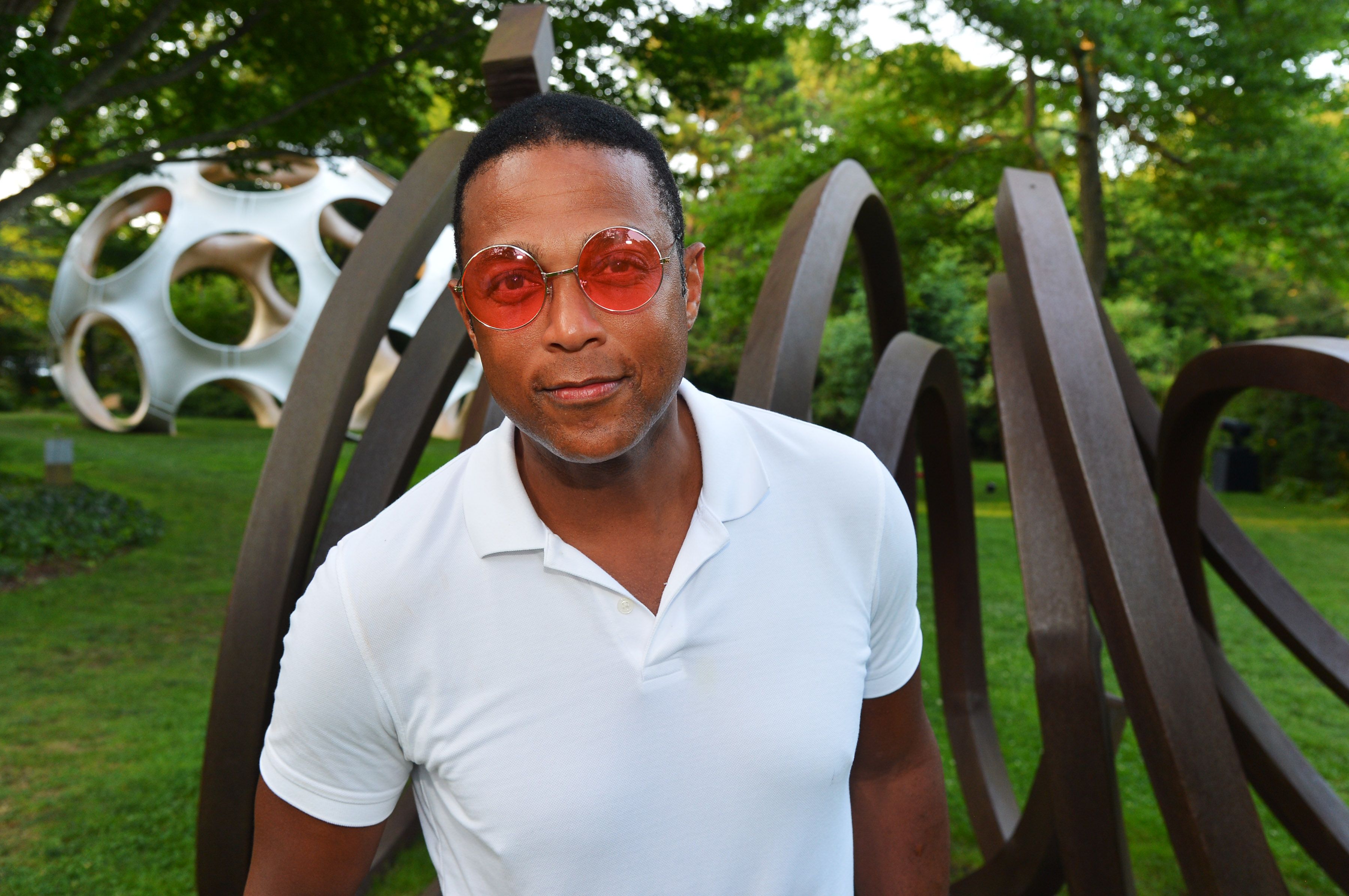 Don Lemon at the LongHouse Reserve 2019 Summer Benefit honoring Julian Schnabel and Donna Karan in East Hampton, New York | Source: Getty Images