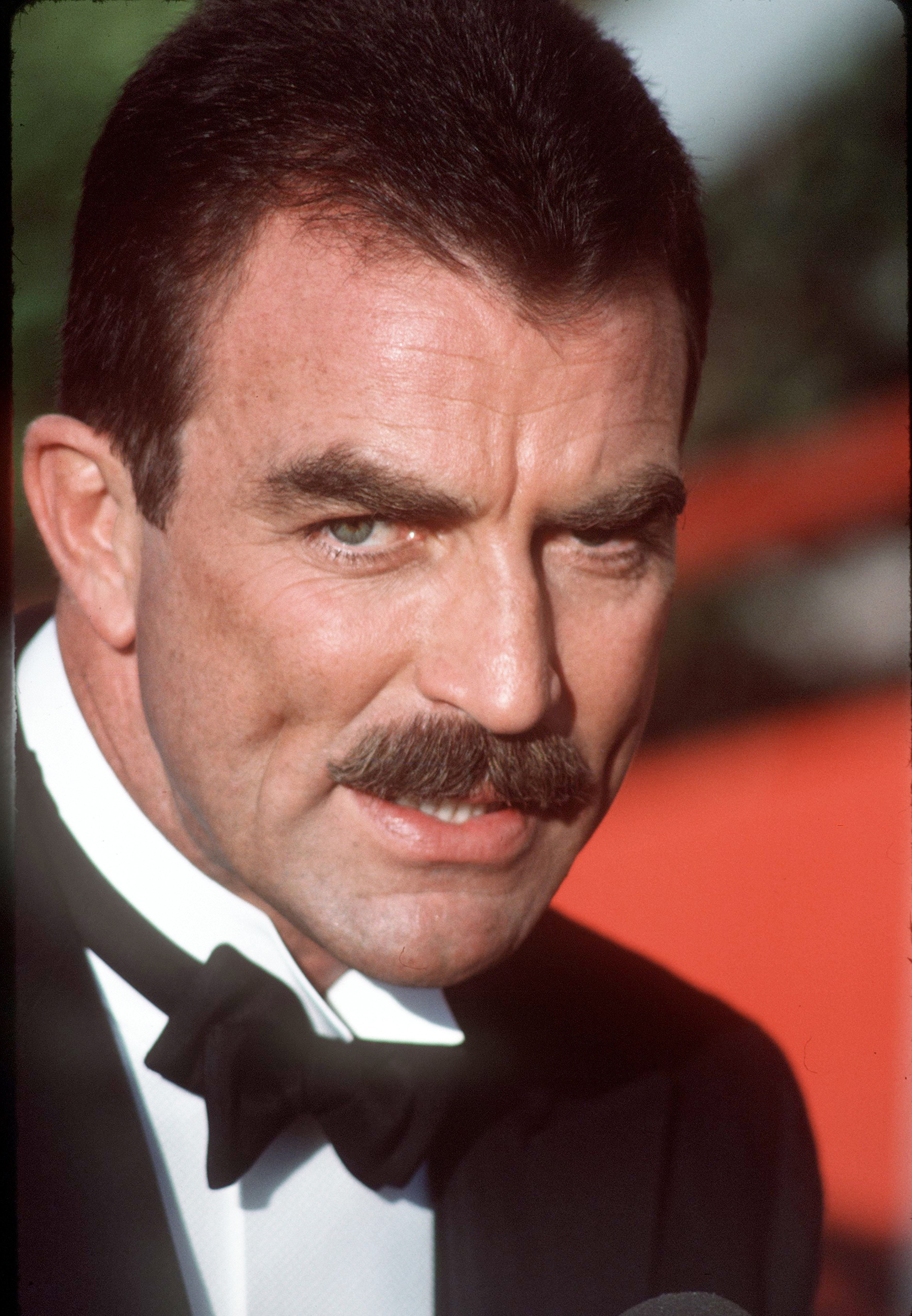 Tom Selleck's 'Stache Is a National Treasure