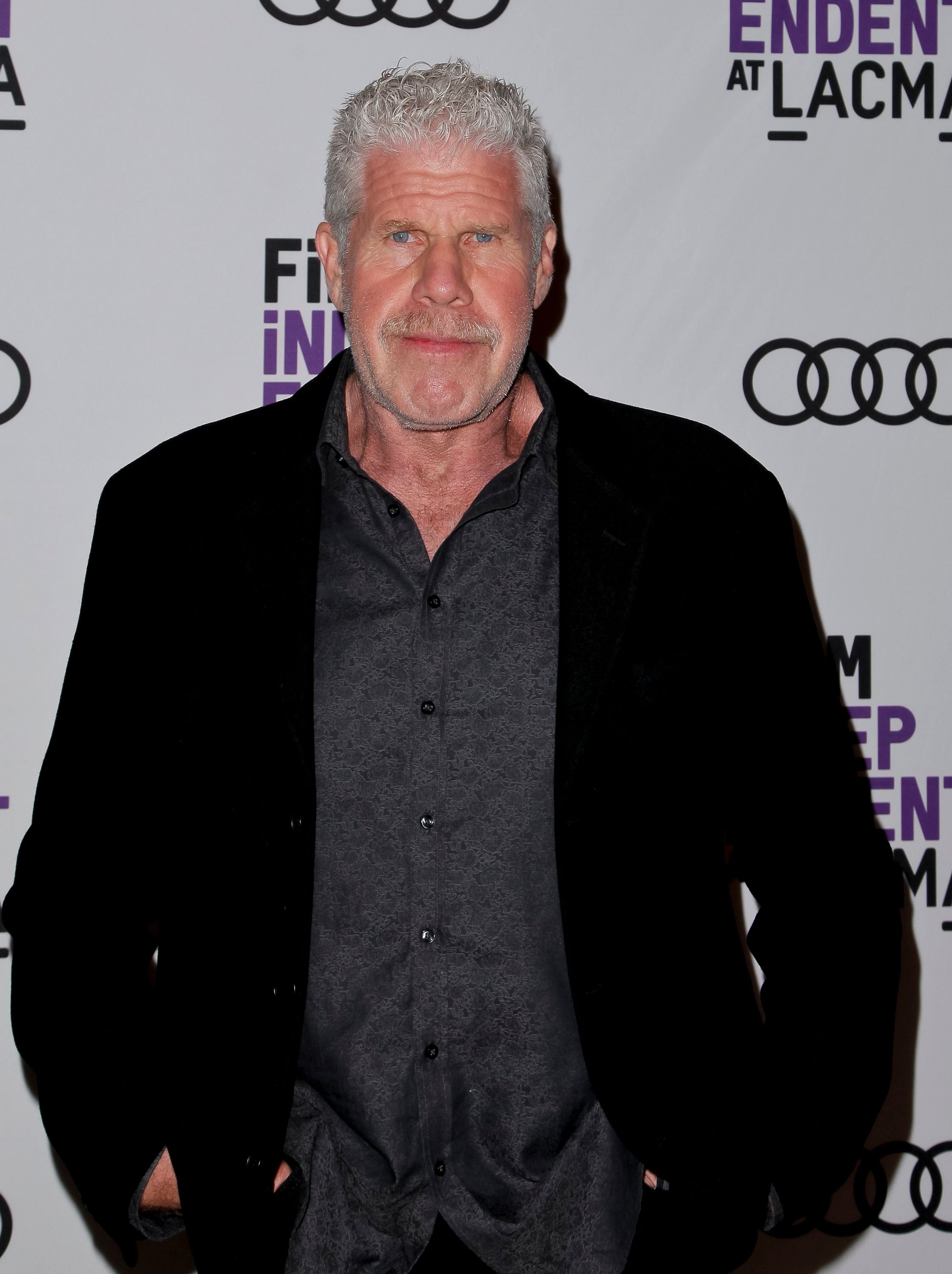 Ron Perlman attends the screening of 'StartUp' at Bing Theater At LACMA on September 28, 2017 in Los Angeles, California. | Source: Getty Images