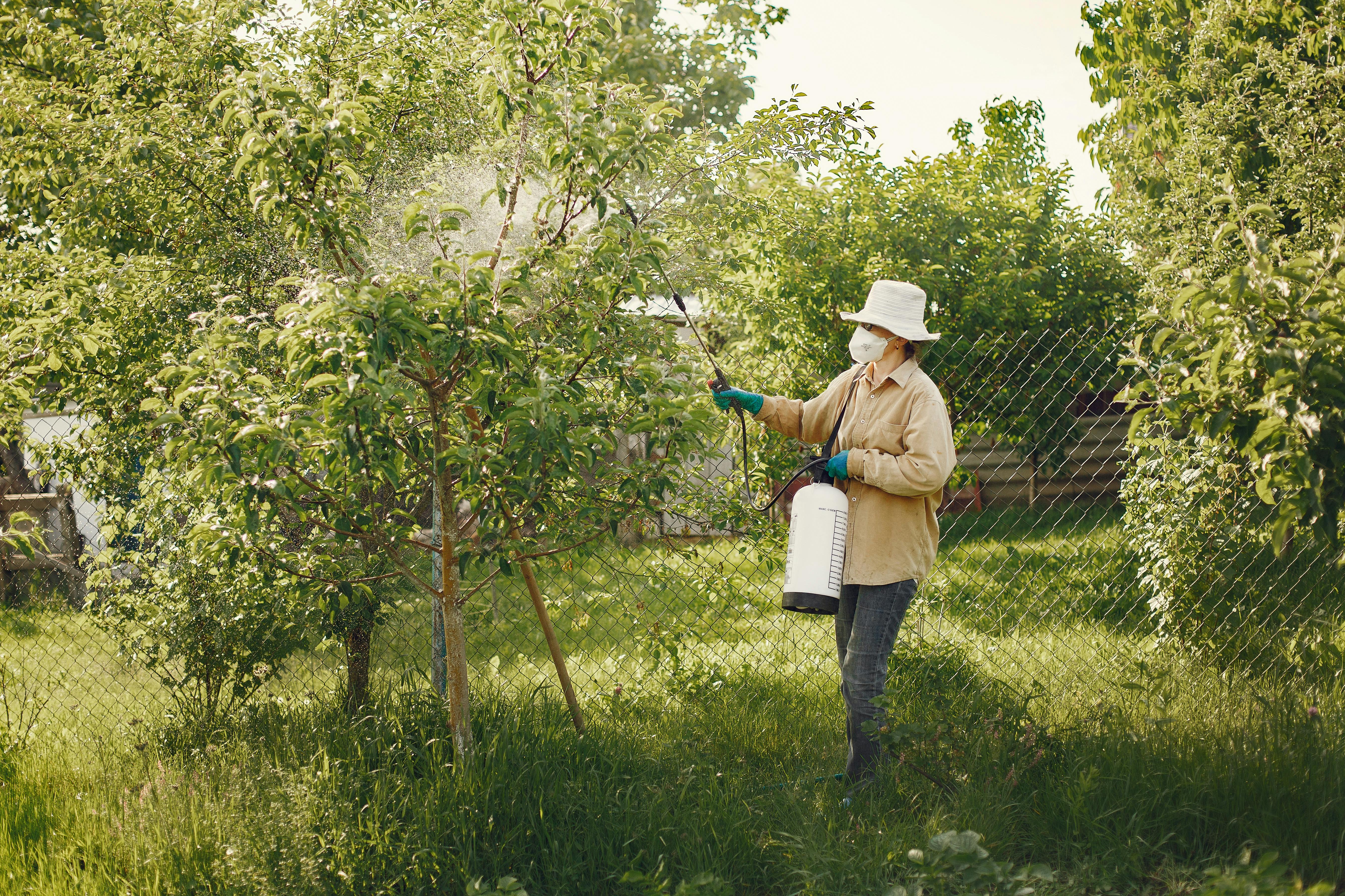 A woman spraying a tree in a garden with pesticides | Source: Pexels