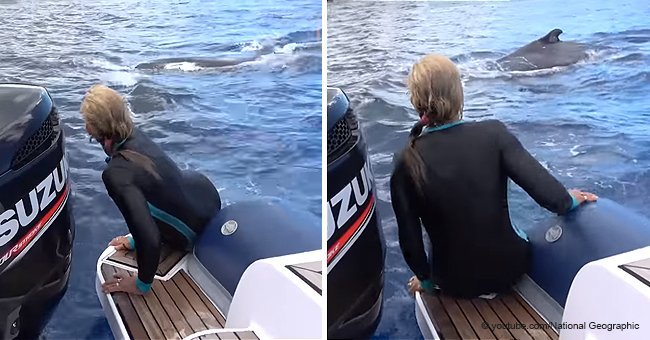 Giant whale saves unsuspecting snorkeler from shark attack