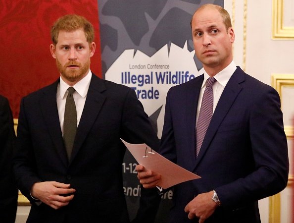 Le prince William, duc de Cambridge (R) et le prince Harry, duc de Sussex, organisent une réception pour ouvrir officiellement la conférence sur le commerce illégal d'espèces sauvages 2018 au St James 'Palace le 10 octobre 2018 à Londres, Angleterre | Photo : Getty Images