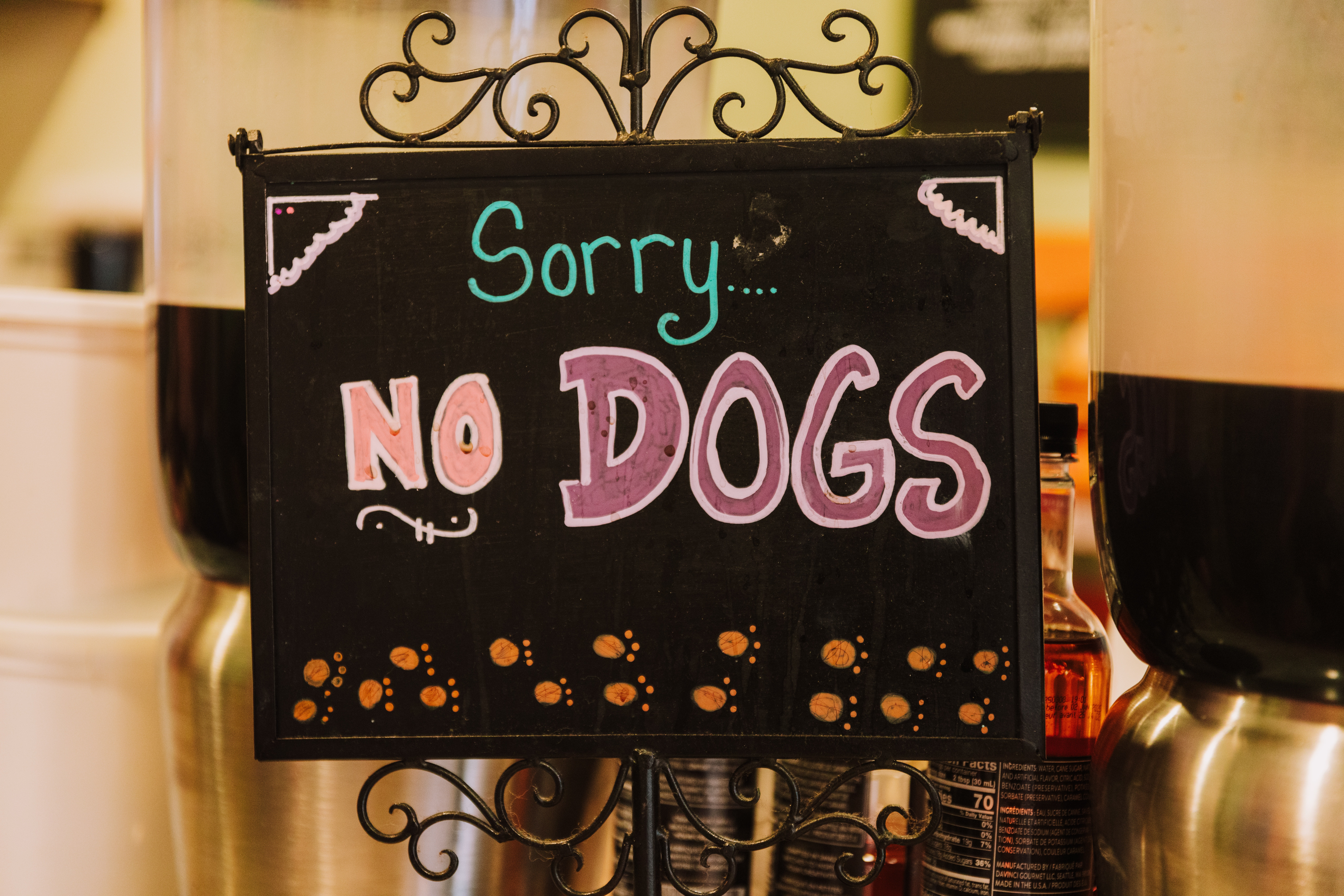 A No Dog Sign | Source: Pexels