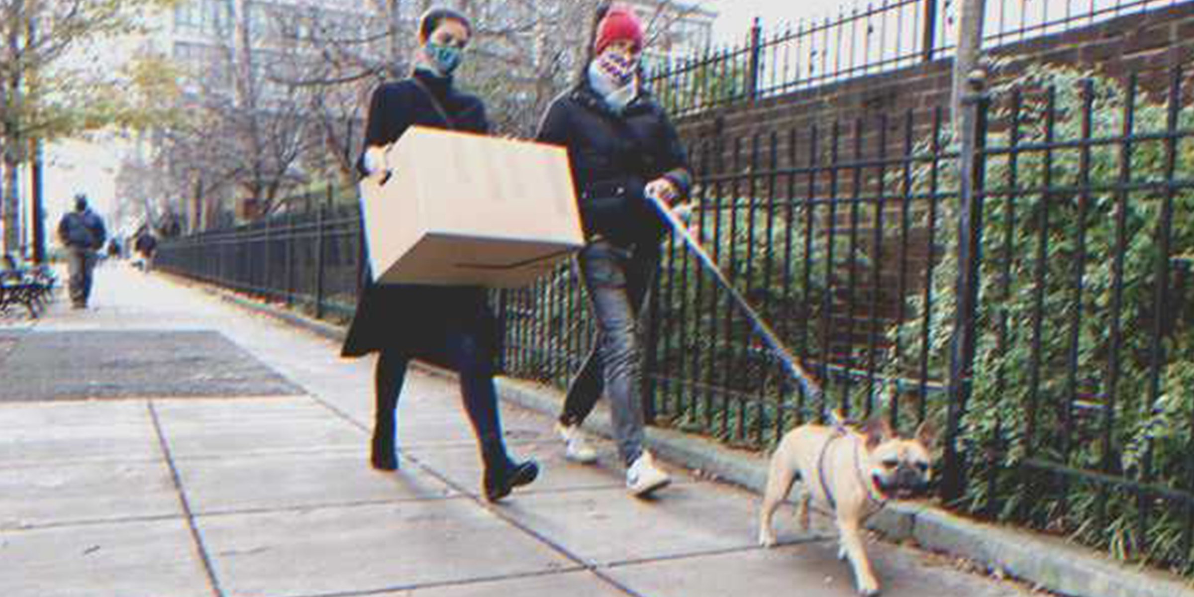 Frau trägt eine Kiste | Quelle: Shutterstock.com