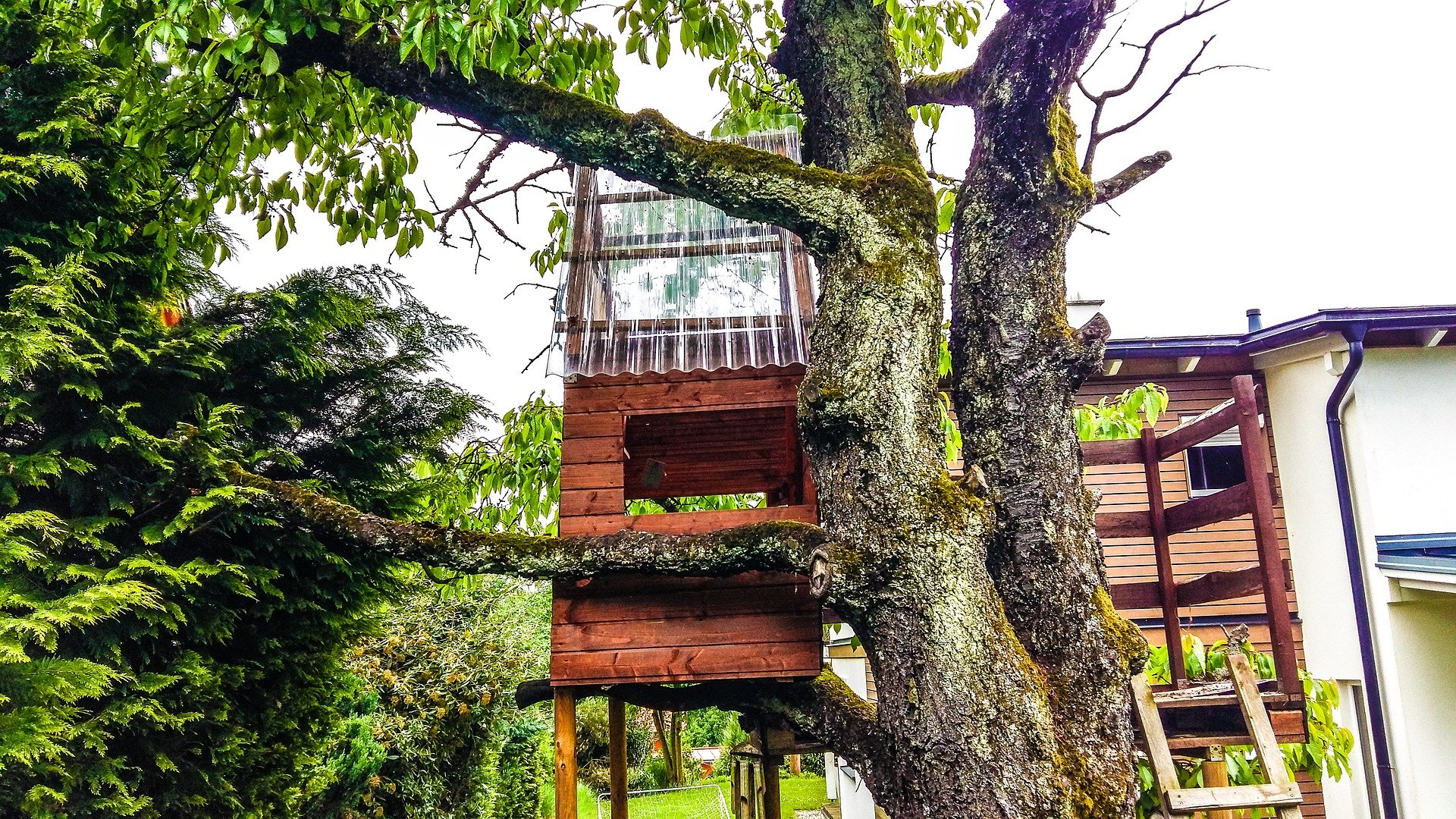 A treehouse in the middle of a backyard | Photo: Pixabay/Ben Faist