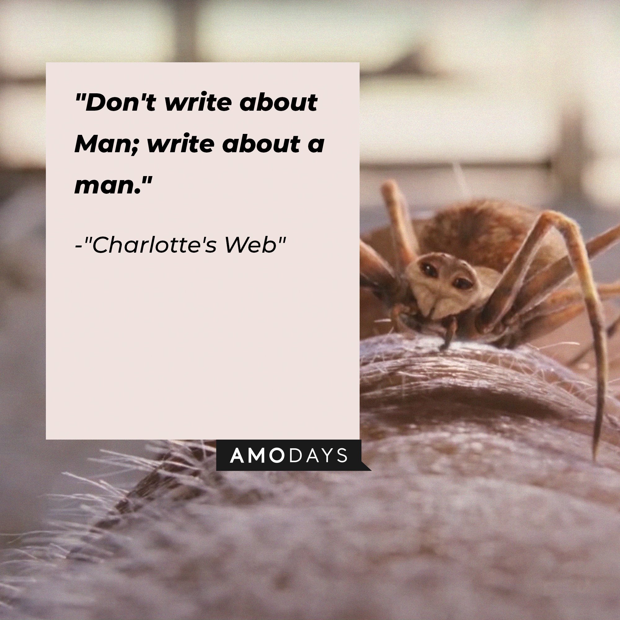 Charlotte's Web quote: "Don't write about Man; write about a man." | Image: AmoDays