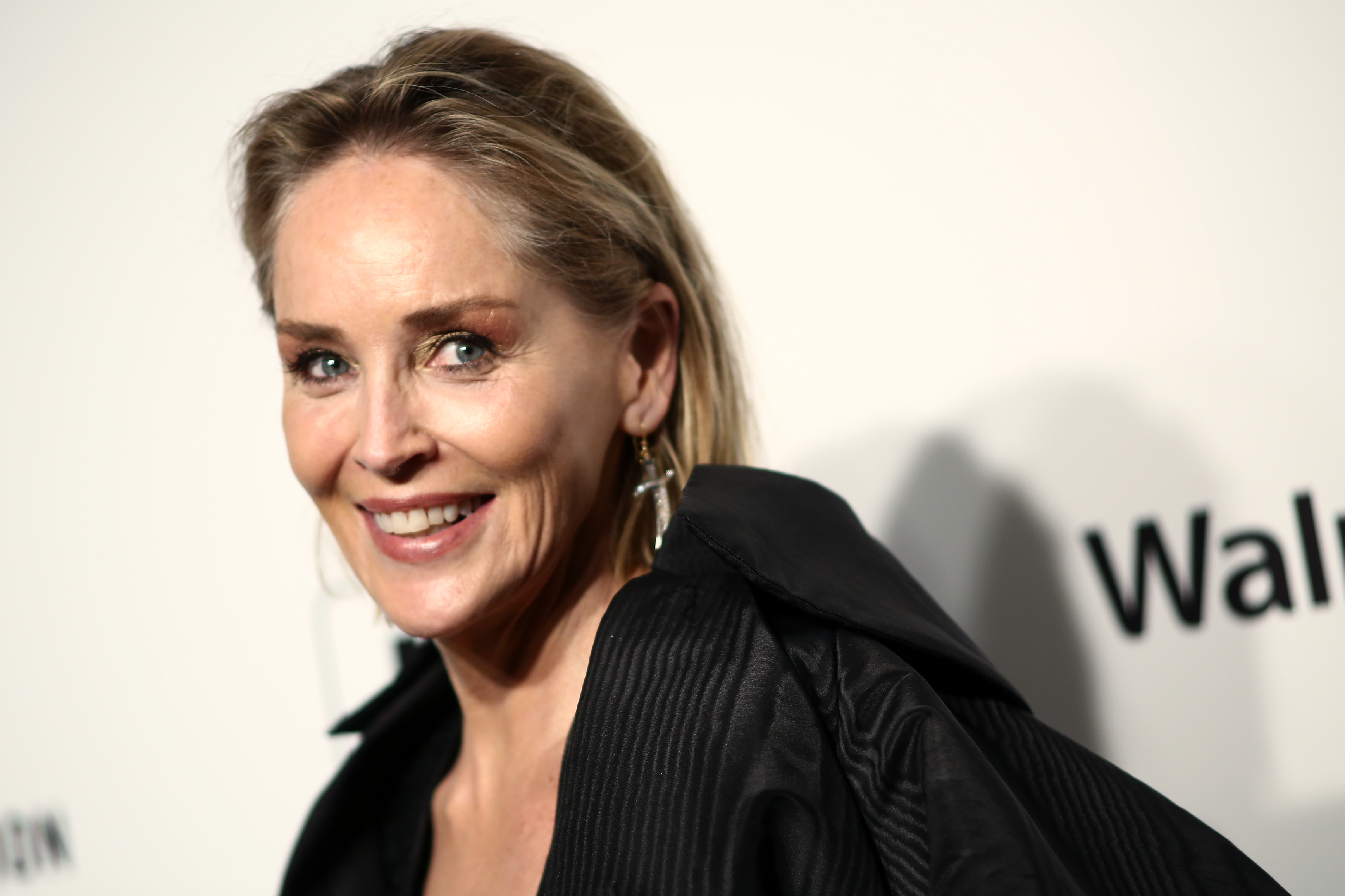 Sharon Stone lights up the red carpet with a radiant smile and striking black ensemble, showcasing the confidence and charisma that have made her a red-carpet favorite for decades.