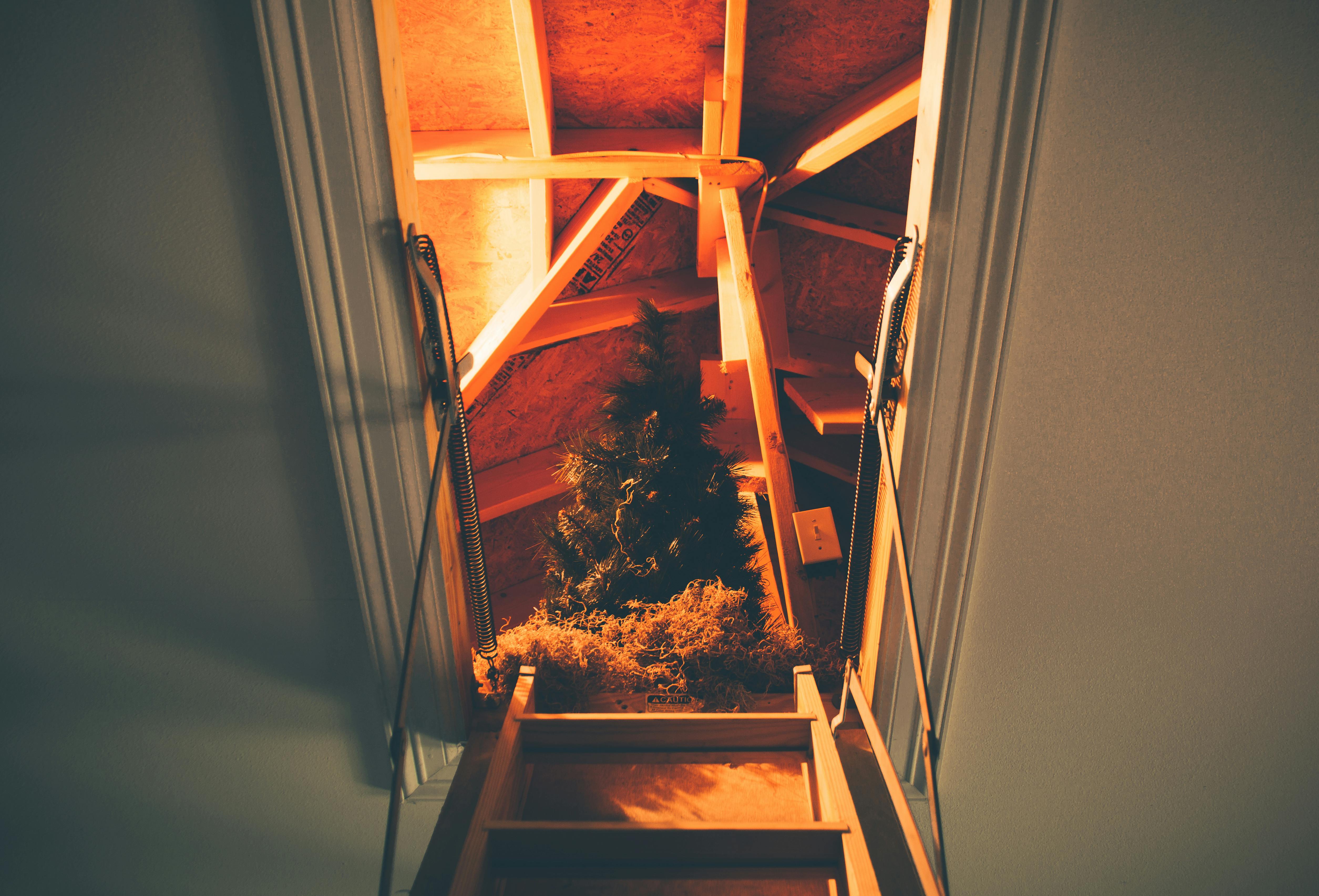 A step-ladder leading up into an attic storeroom | Source: Pexels