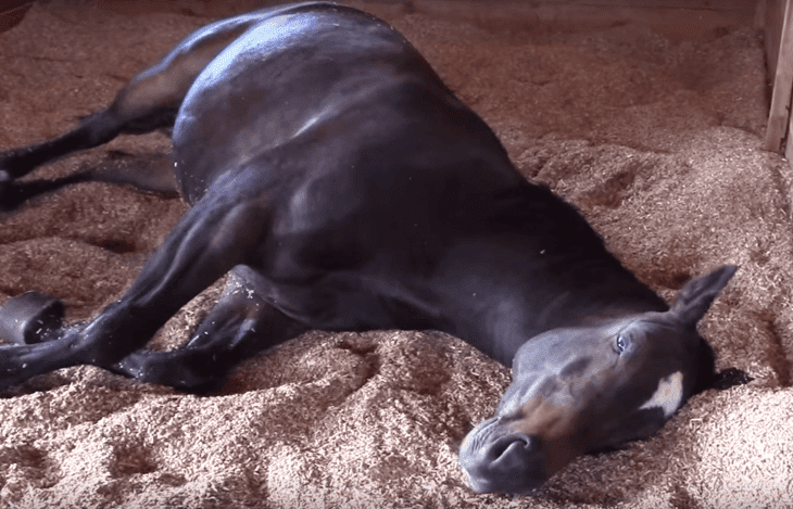 Quelle: Source: Youtube/ Liz Mitten Ryan