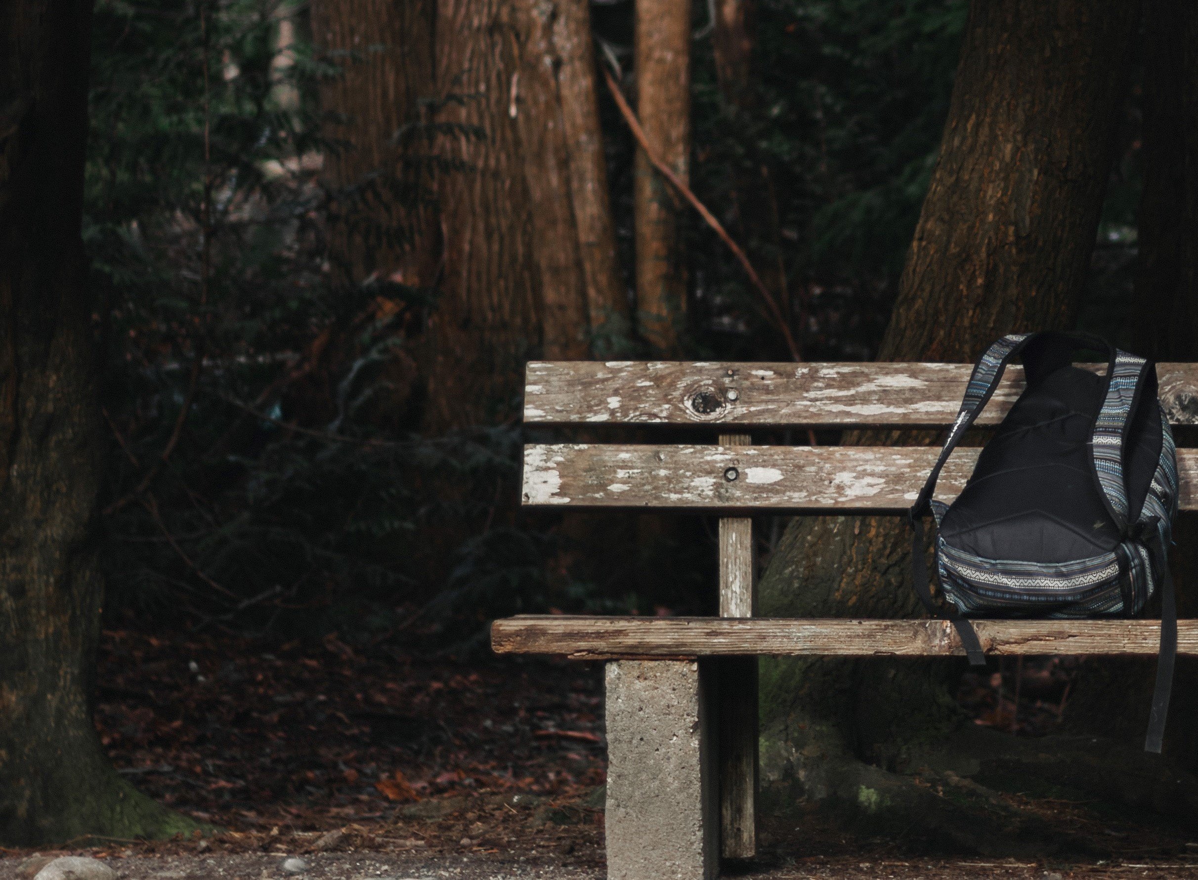 Karen found a backpack on a bench & searched for the owner's address. | Source: Unsplash