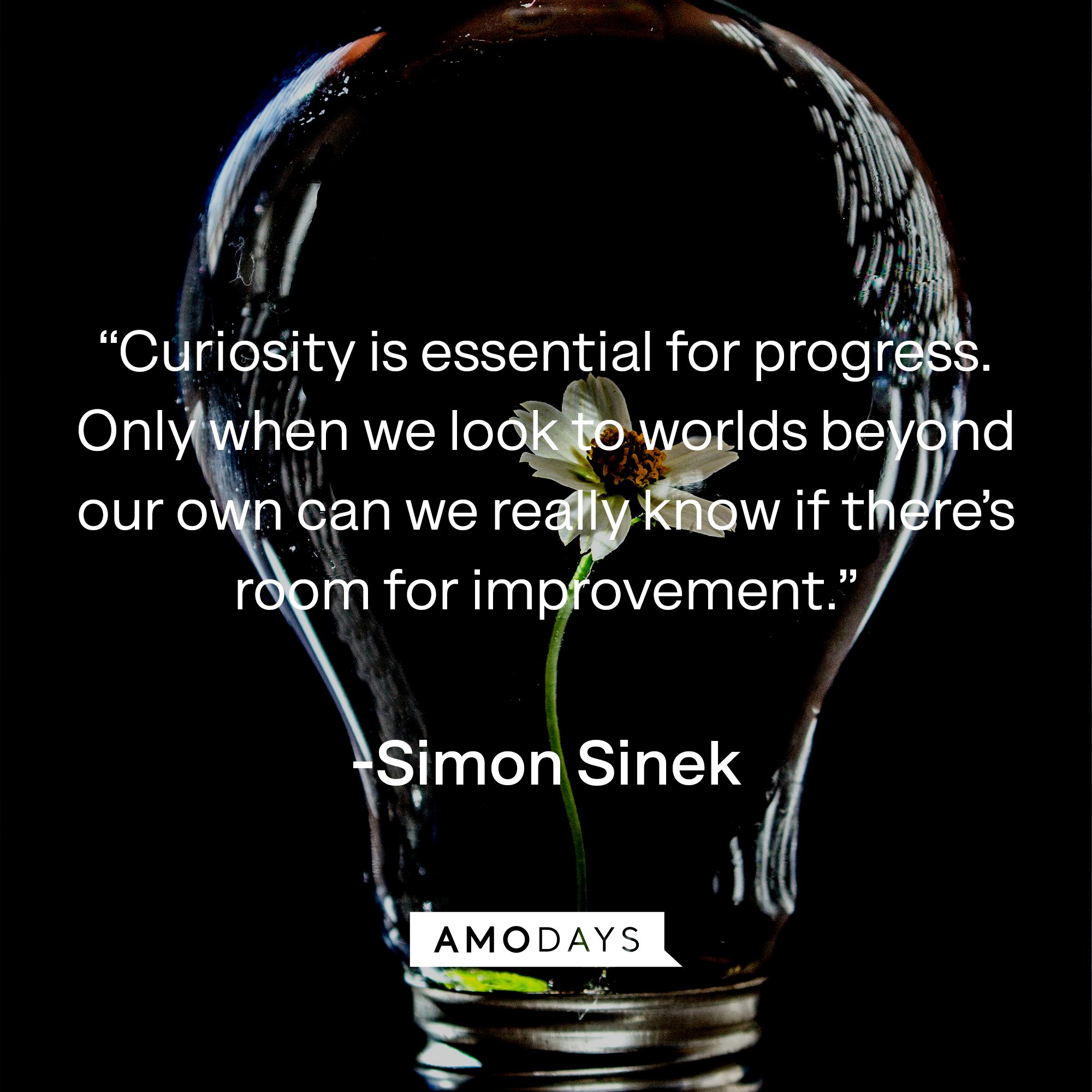 Simon Sinek 's quote: “Curiosity is essential for progress. Only when we look to worlds beyond our own can we really know if there’s room for improvement.” | Image: AmoDays  