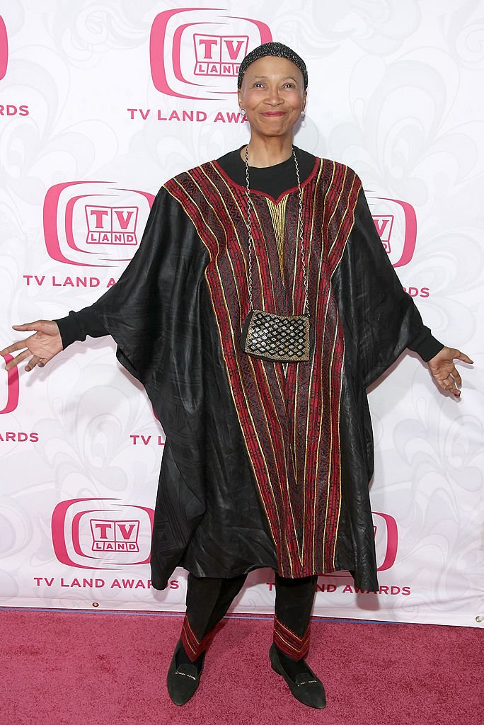 Actress Olivia Cole arrives at the 5th Annual TV Land Awards held at Barker Hangar on April 14, 2007. | Photo: Getty Images