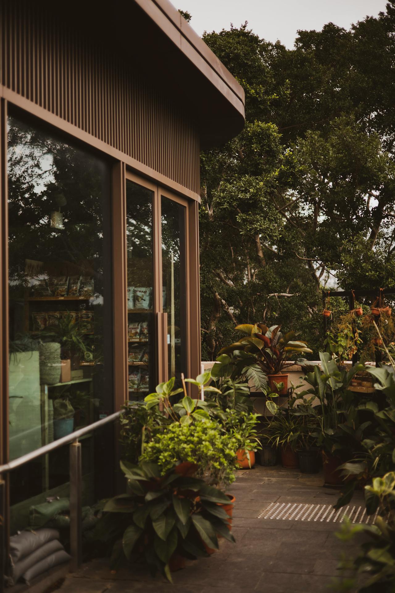 Potted plants on the front porch | Source: Pexels