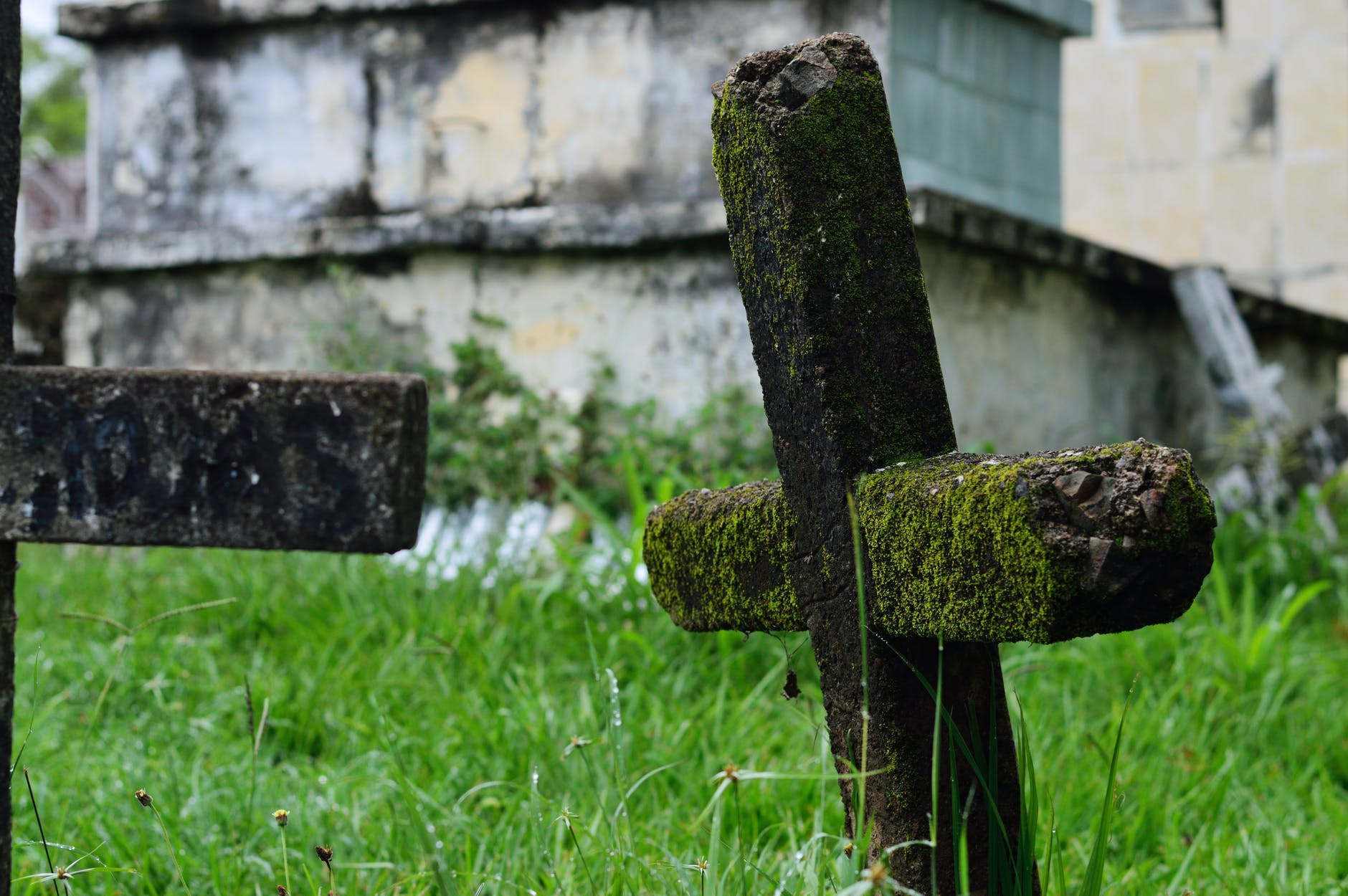 Una cruz llena de vegetación en un cementerio. | Foto: Pexels