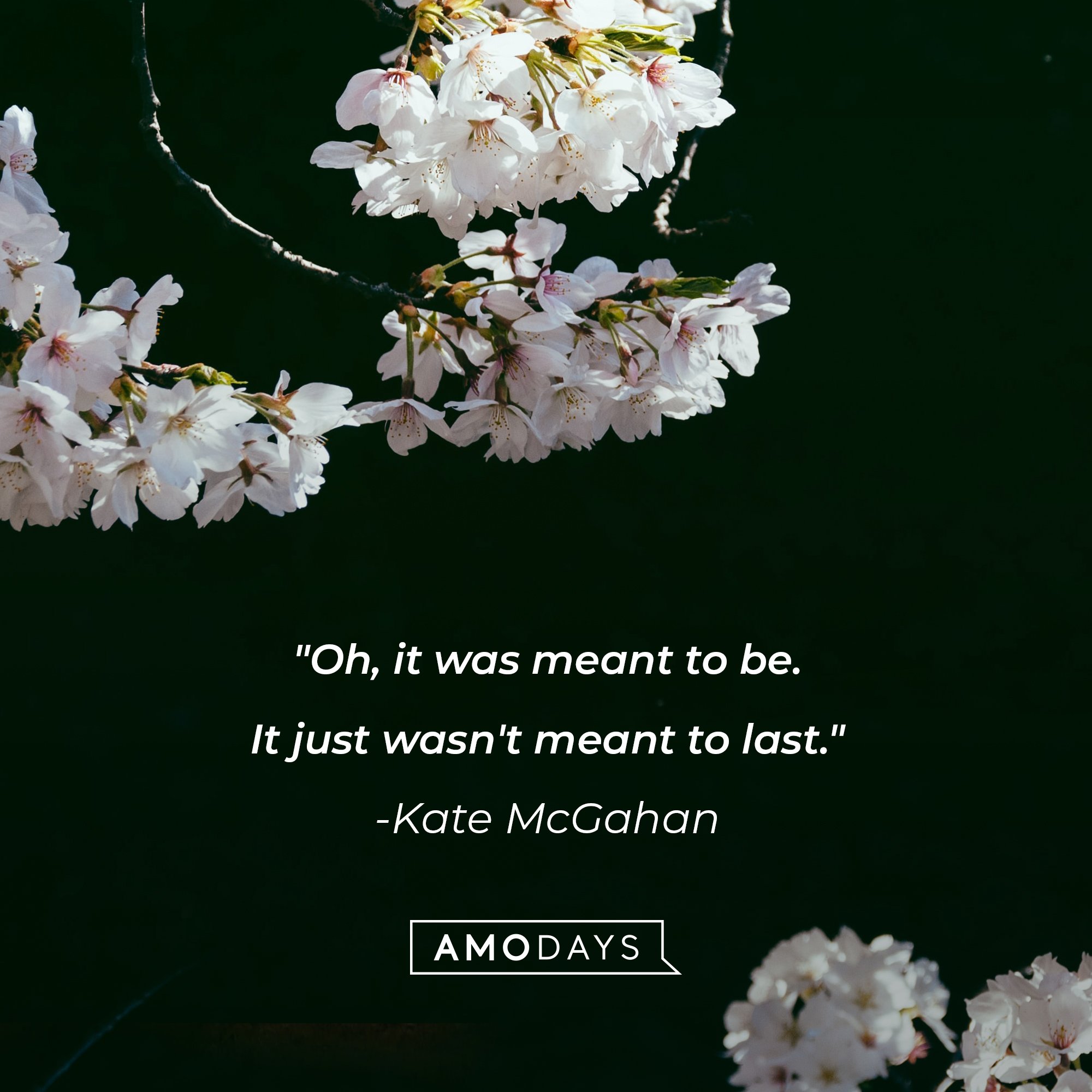 Kate McGahan’s quote: "Oh, it was meant to be. It just wasn't meant to last."  | Image: AmoDays