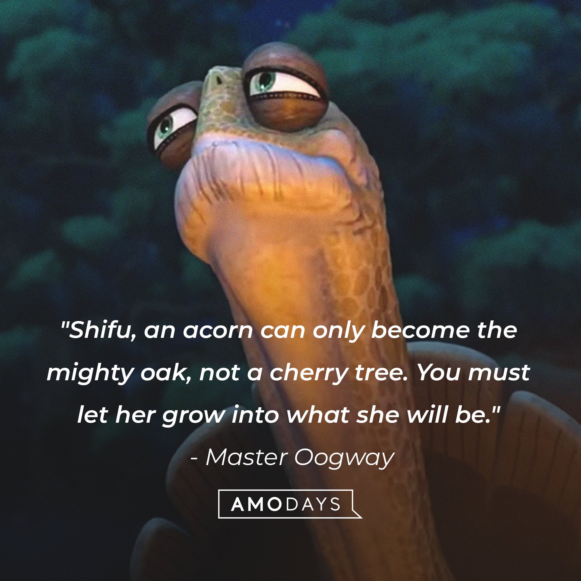 Master Oogway’s quote: "Shifu, an acorn can only become the mighty oak, not a cherry tree. You must let her grow into what she will be." | Image: AmoDays