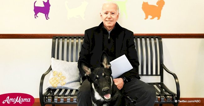 Former VP Joe Biden adopts a 10-month-old Delaware rescue dog from a shelter 