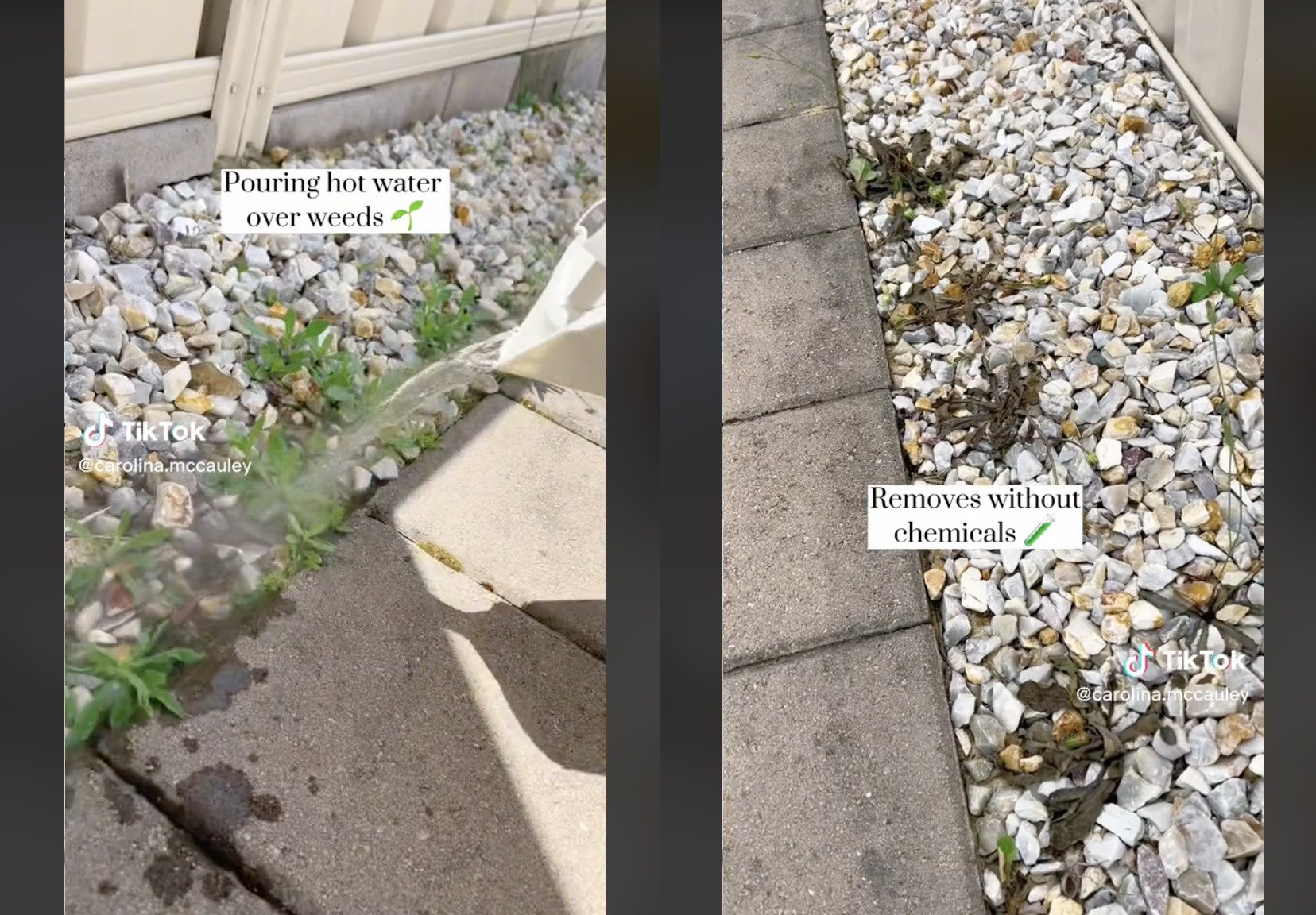 Use hot water to kill the weeds in your yard. | Source: tiktok.com/@carolina.mccauley