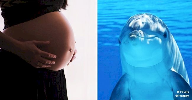 Woman starts giving birth in the water. Dolphins surround her and start 'assisting'