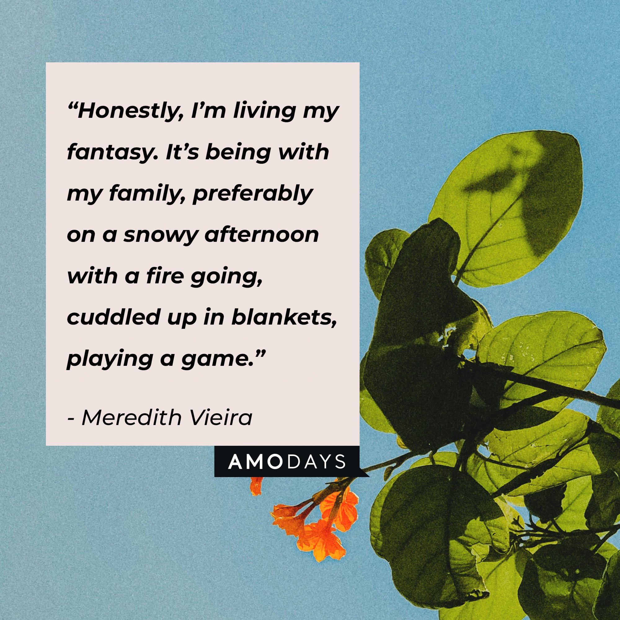 Meredith Vieira's quote: “Honestly, I’m living my fantasy. It’s being with my family, preferably on a snowy afternoon with a fire going, cuddled up in blankets, playing a game.” | Image: AmoDays